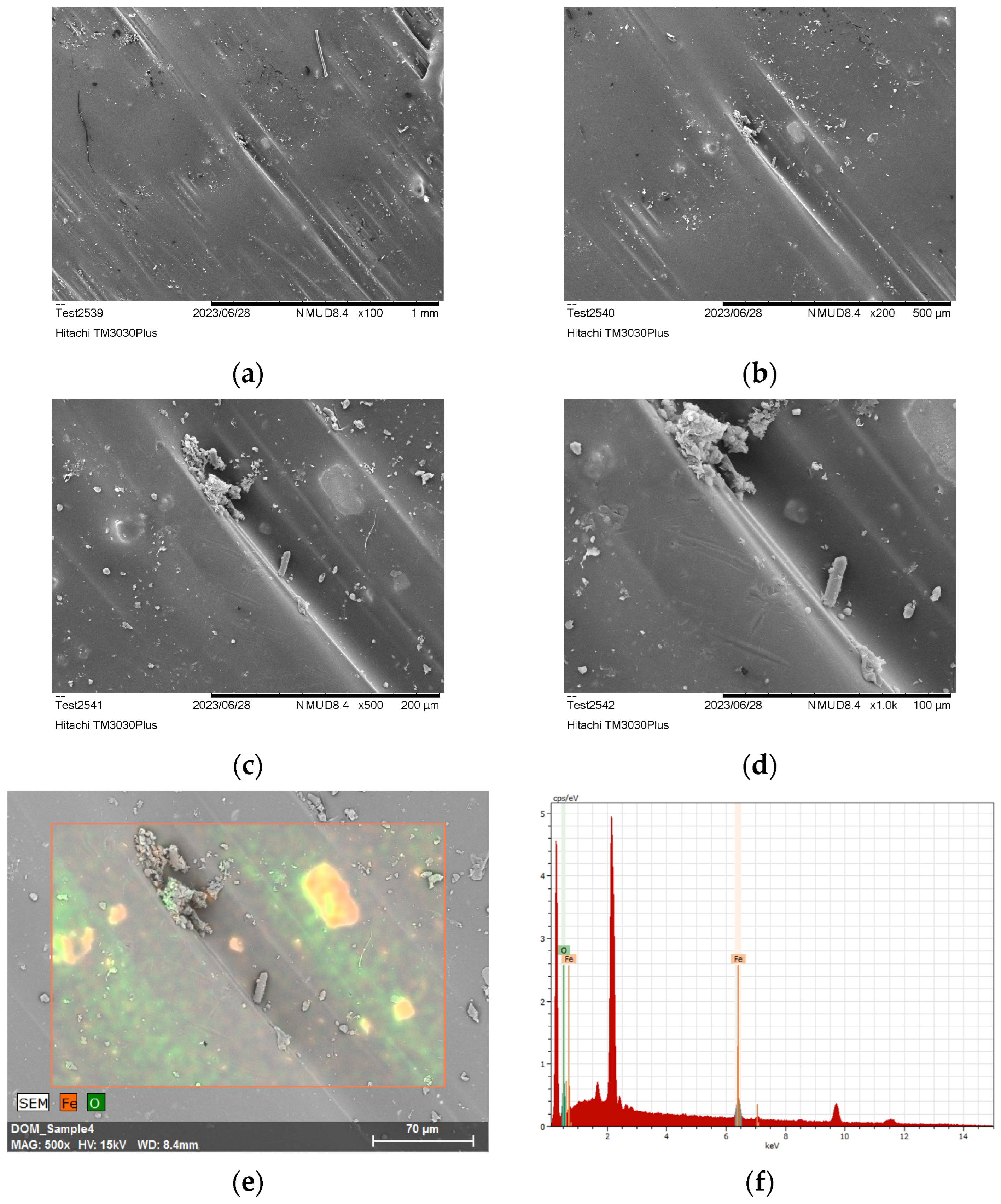 Polymers 16 02760 g019