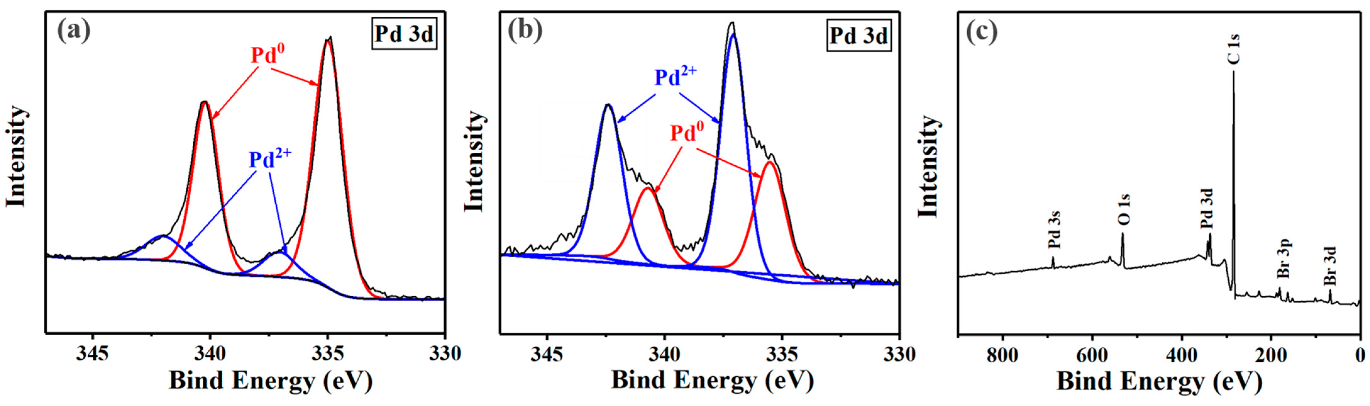 Polymers 16 02764 g003