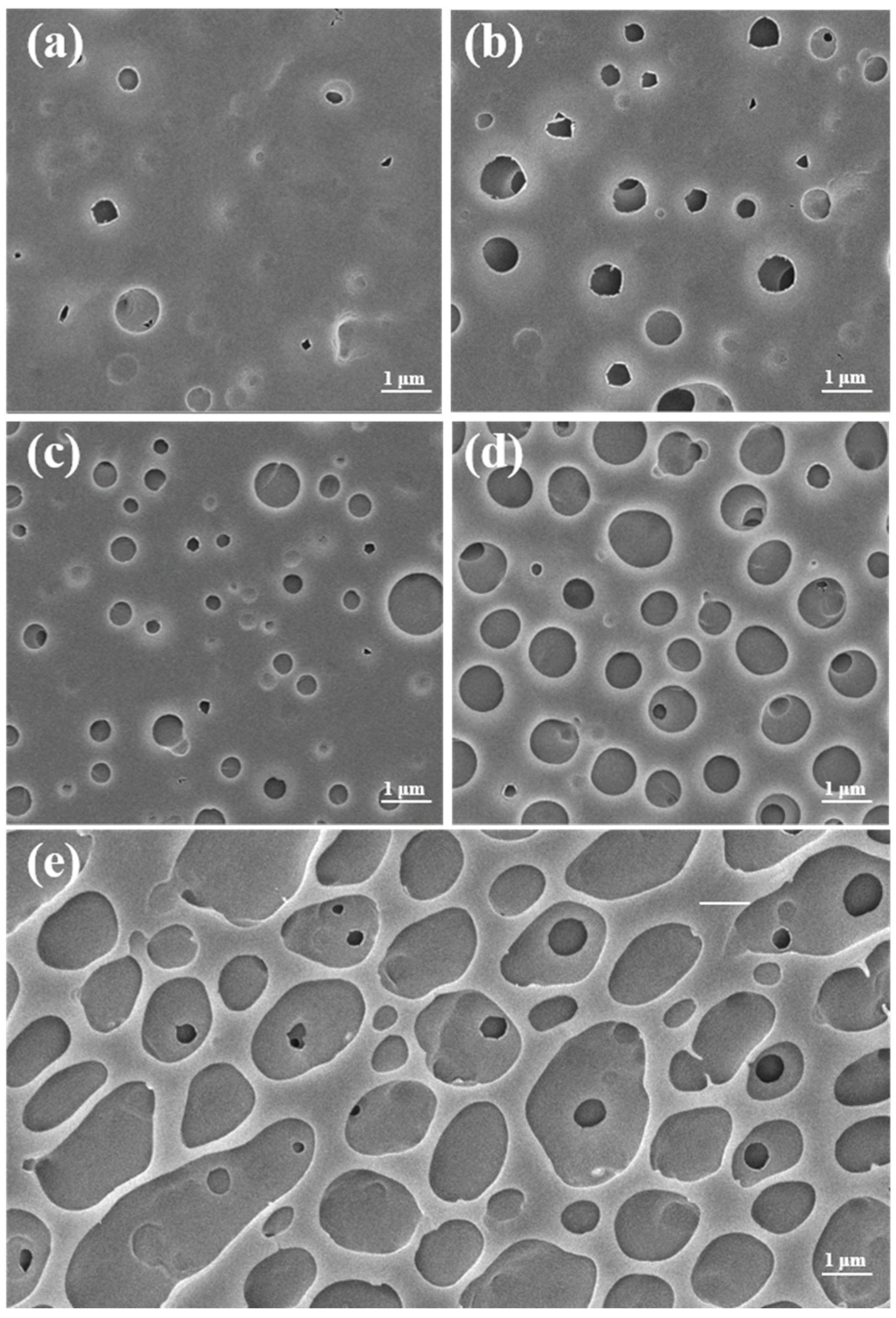 Polymers 16 02764 g011