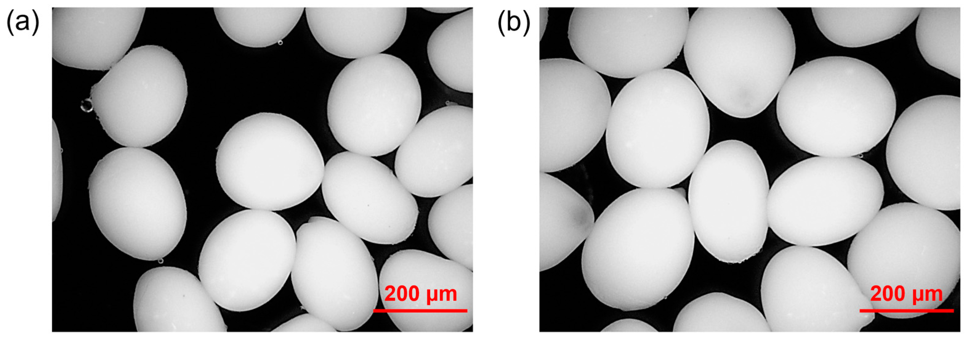 Polymers 16 02765 g003