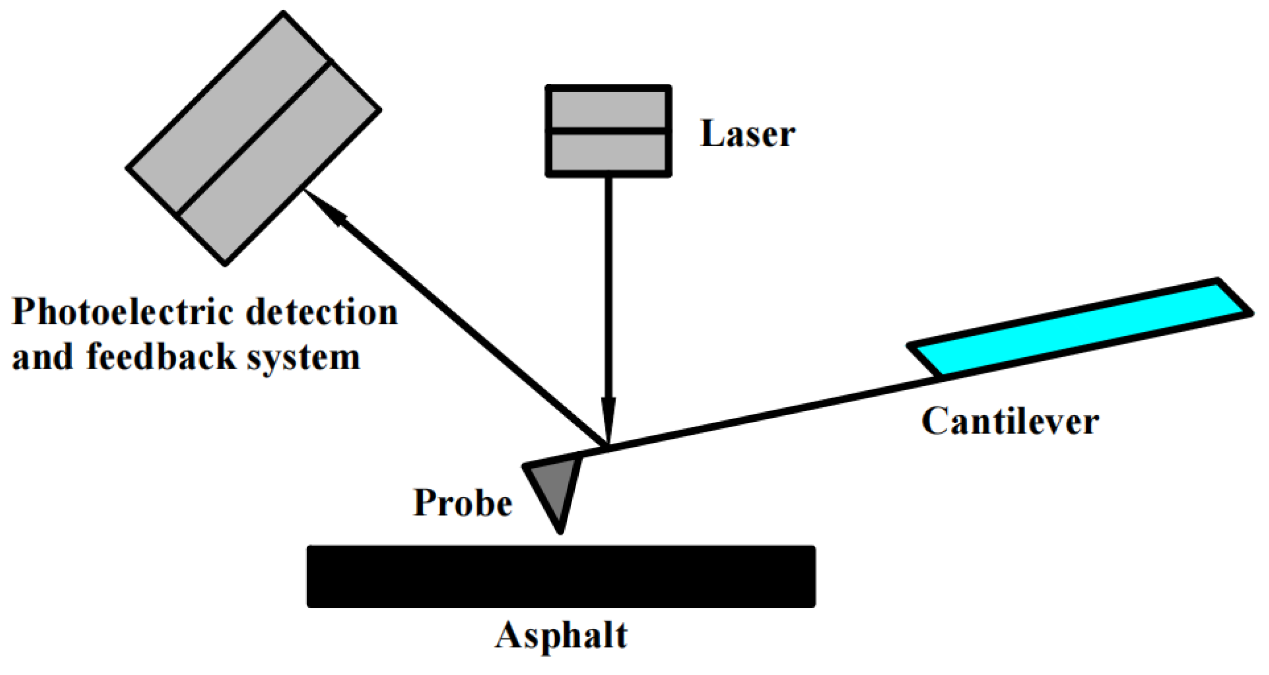 Polymers 16 02766 g004