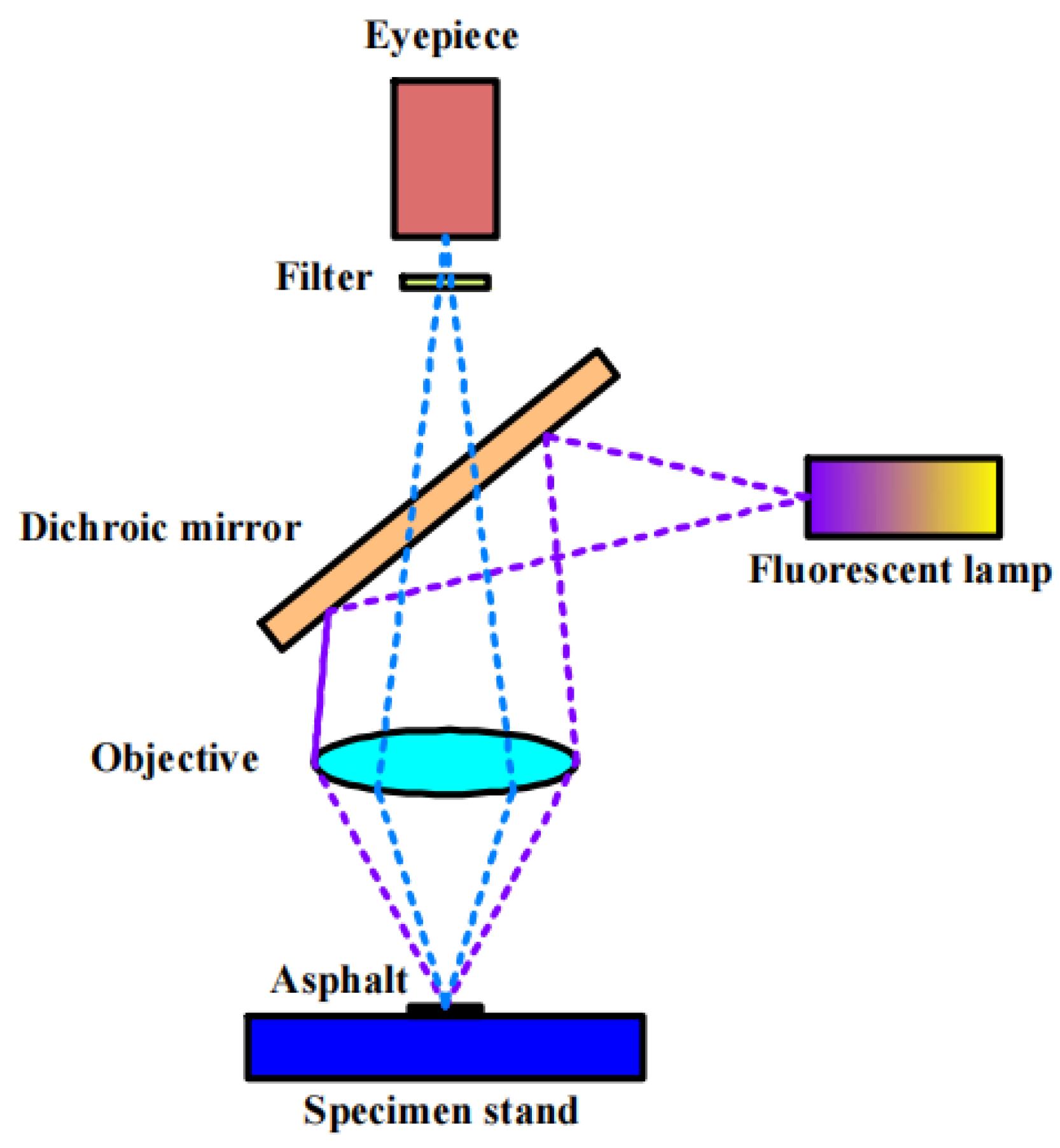 Polymers 16 02766 g006