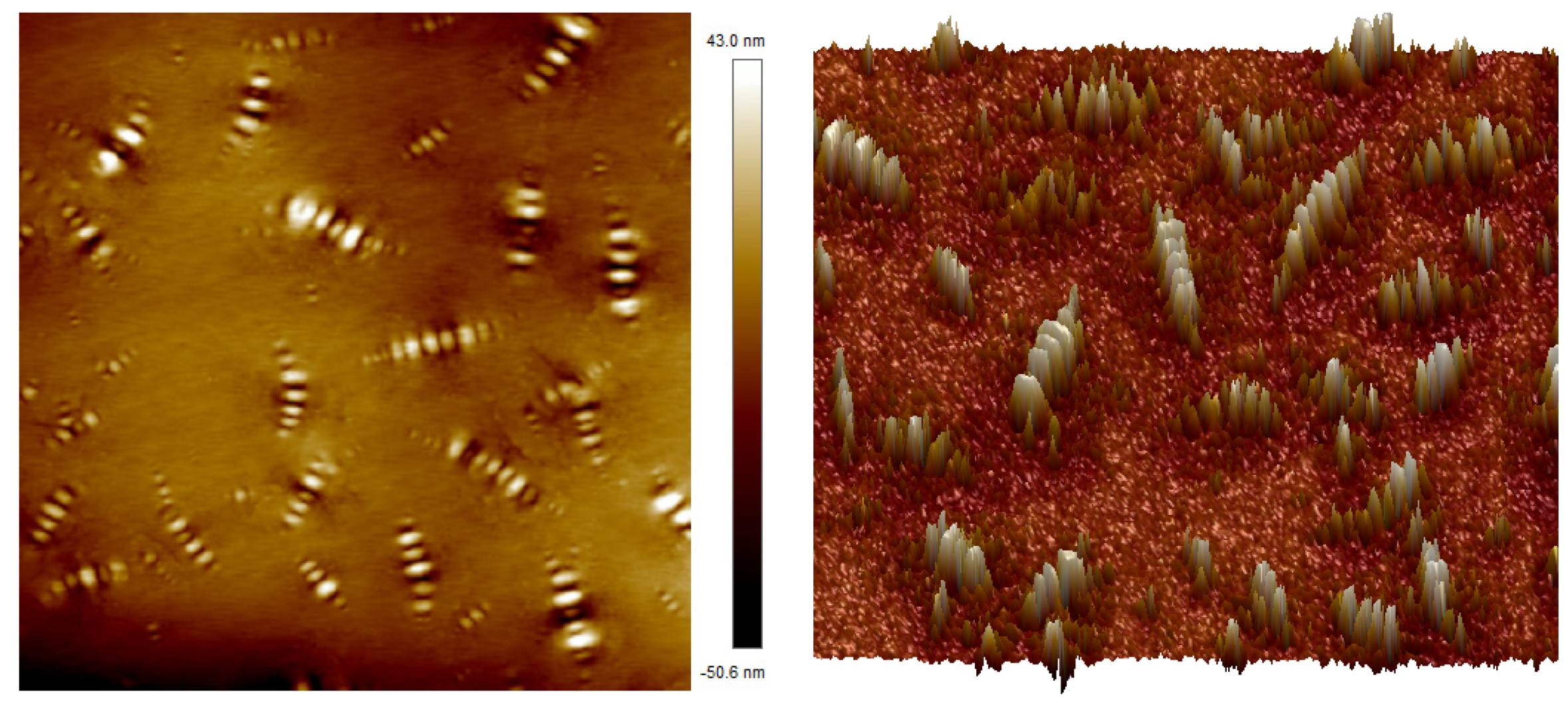 Polymers 16 02766 g015