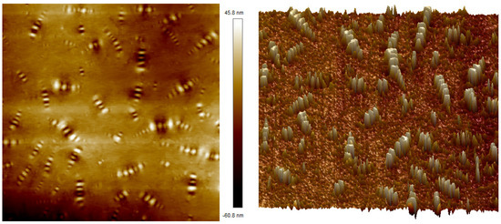 Study on the Microscopic Mechanism and Performance of TPU