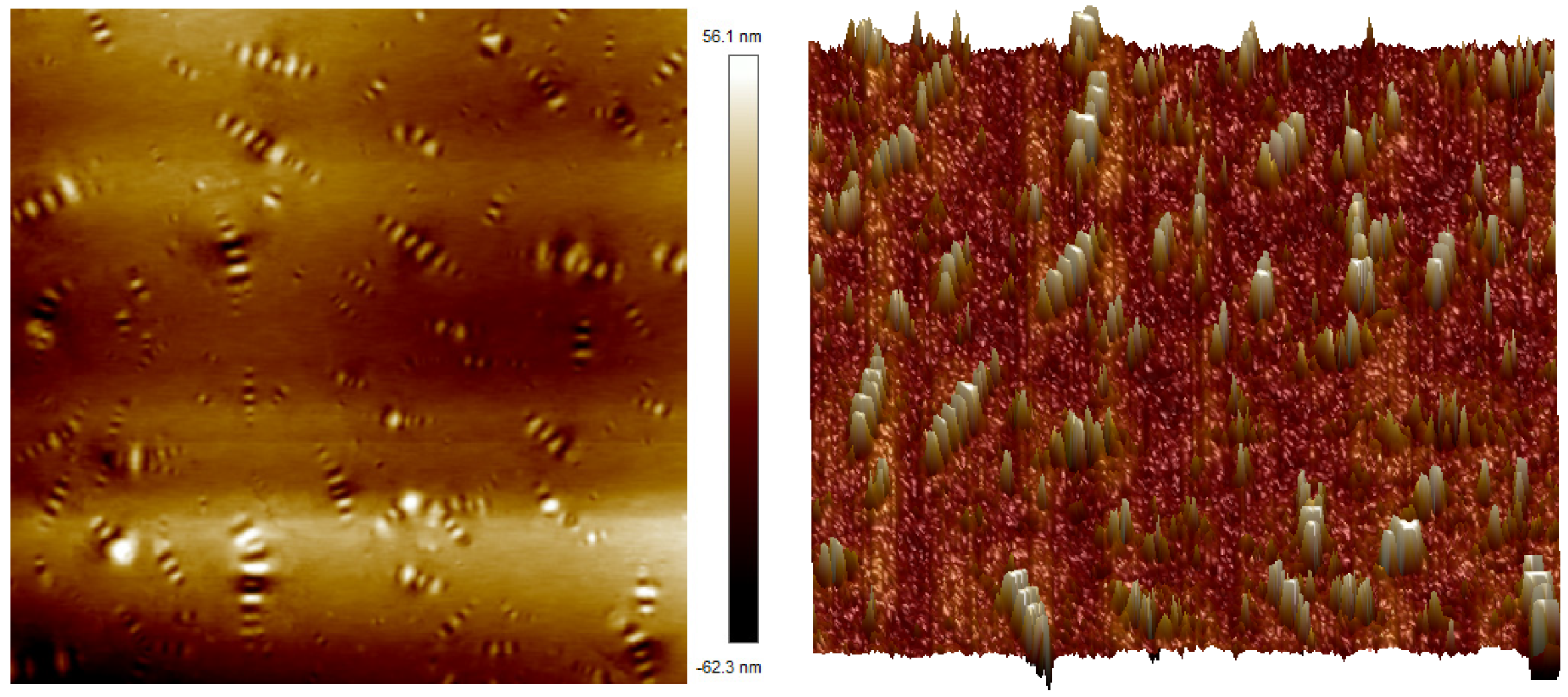 Polymers 16 02766 g017