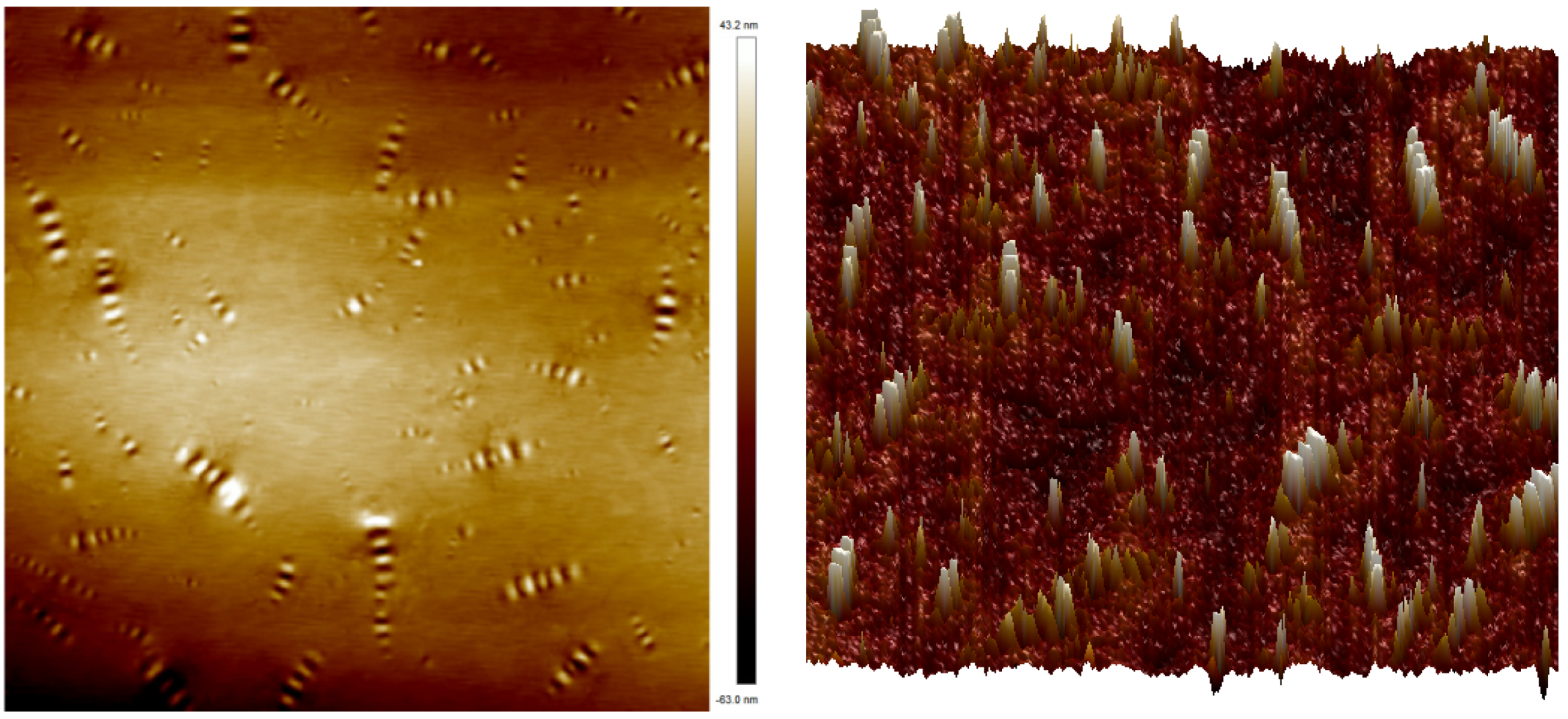 Polymers 16 02766 g018