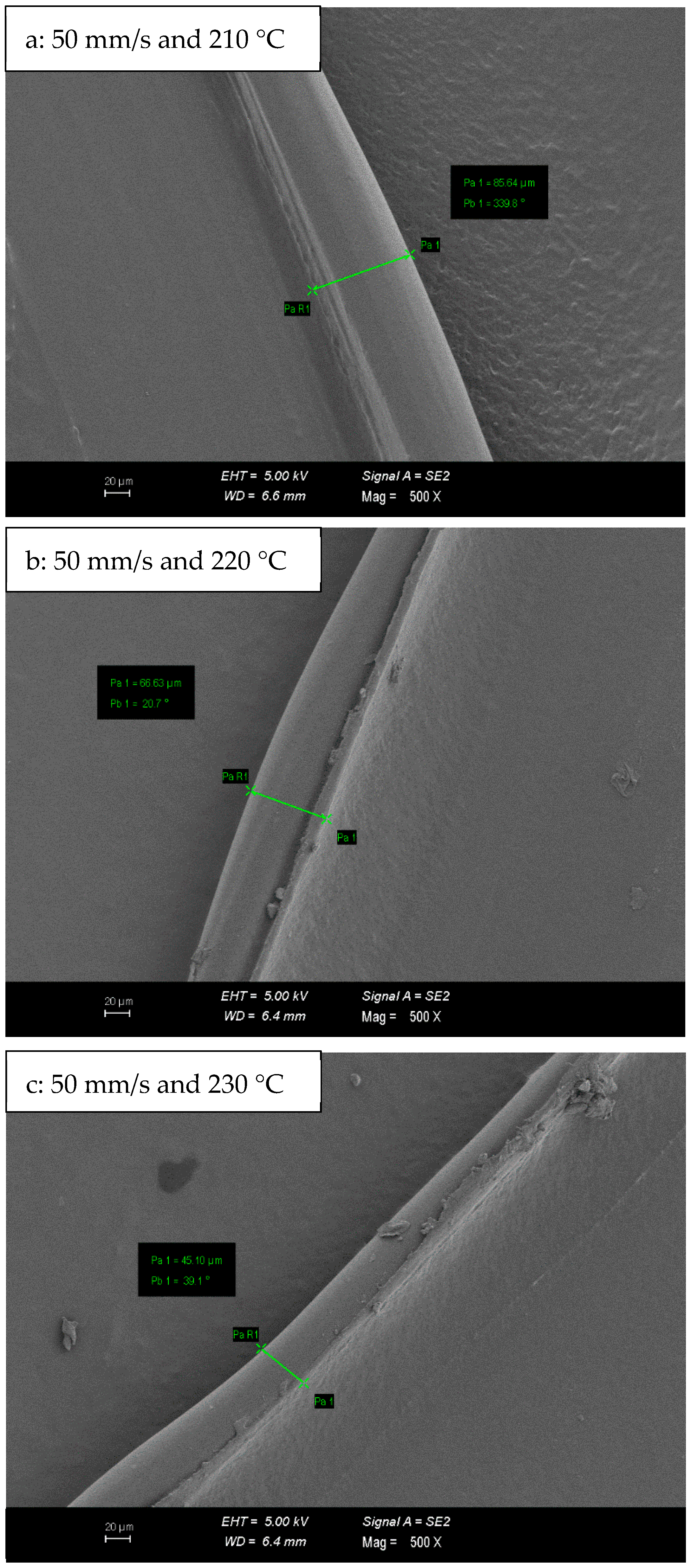 Polymers 16 02771 g009