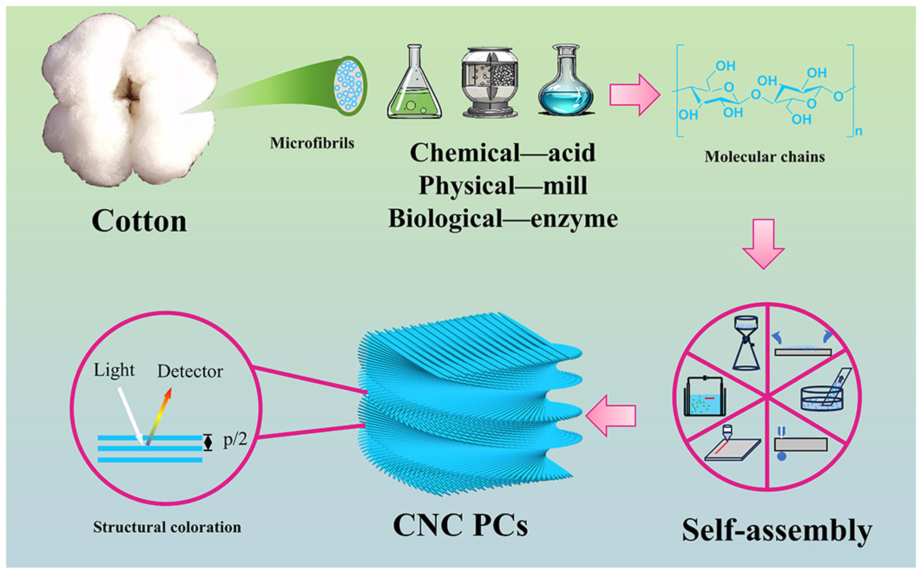 Polymers 16 02774 g001