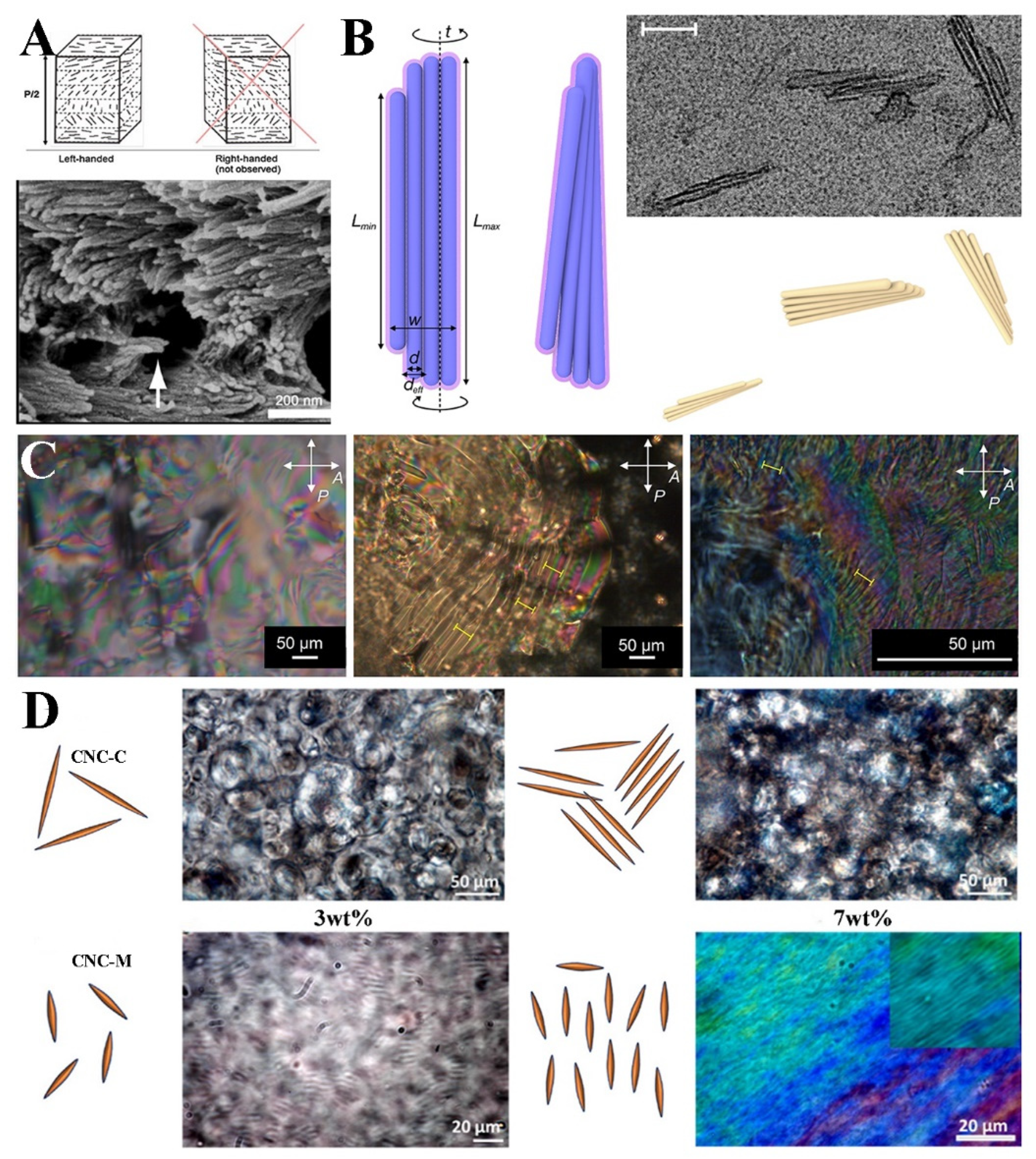 Polymers 16 02774 g002