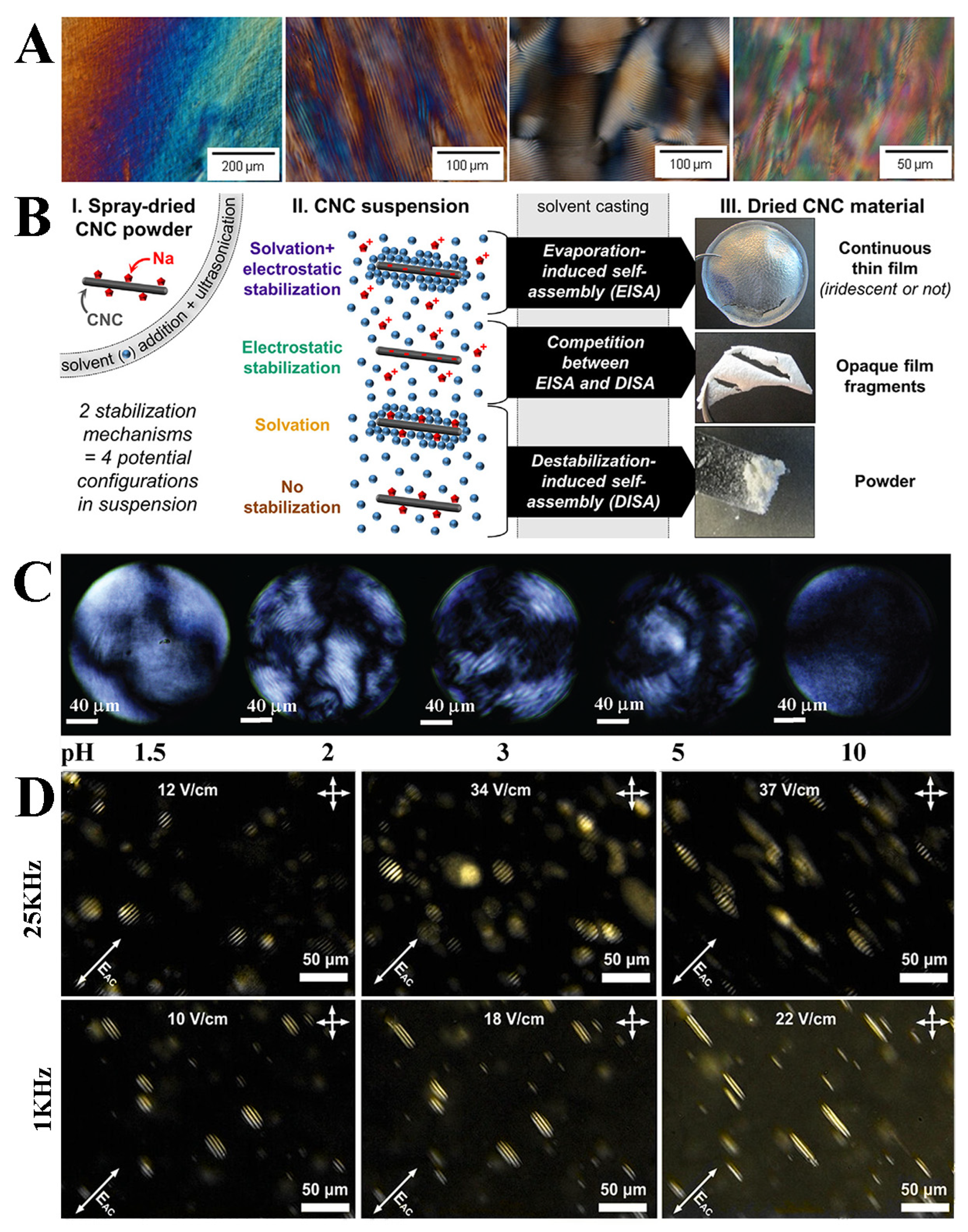 Polymers 16 02774 g003
