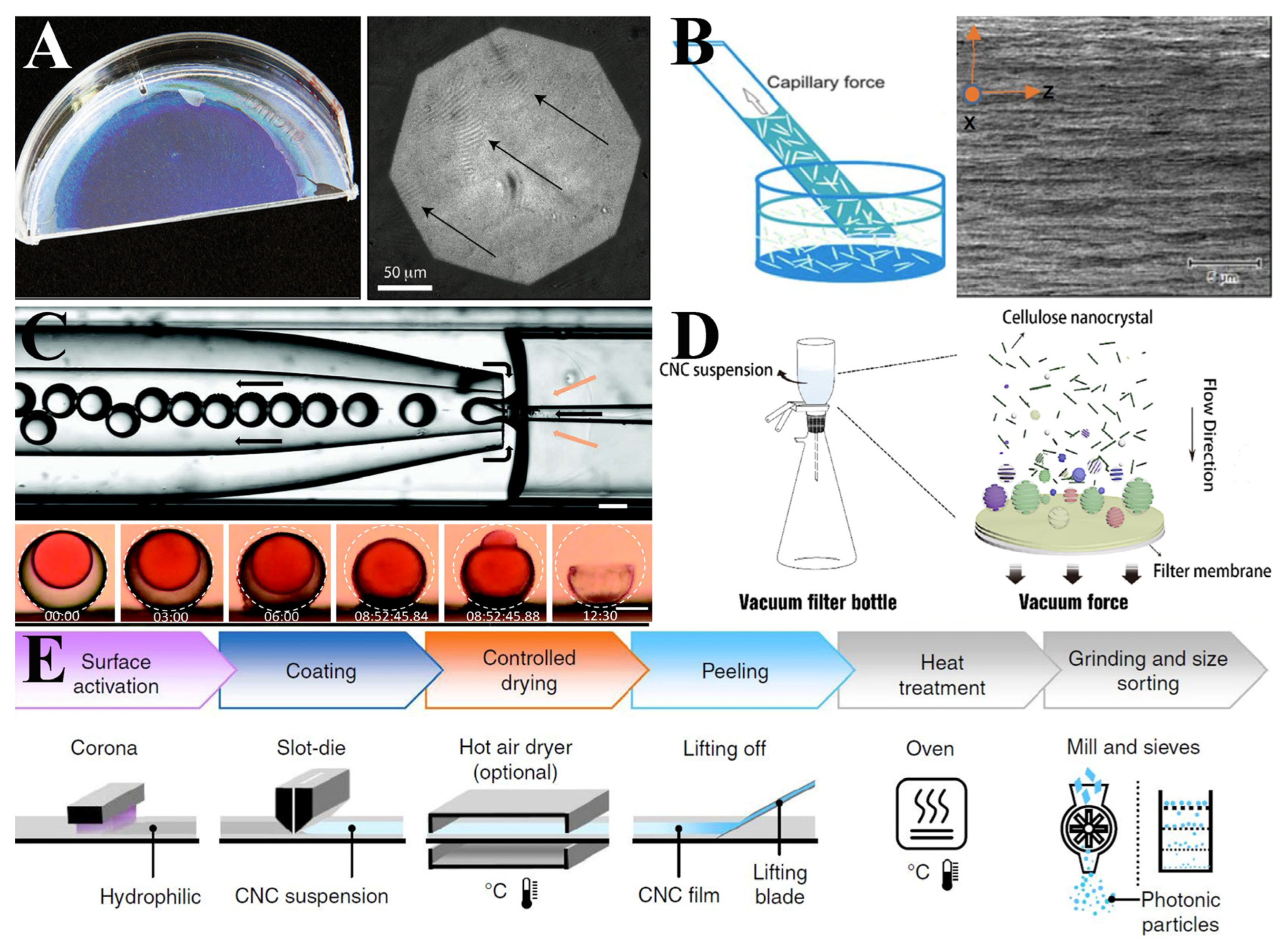 Polymers 16 02774 g004