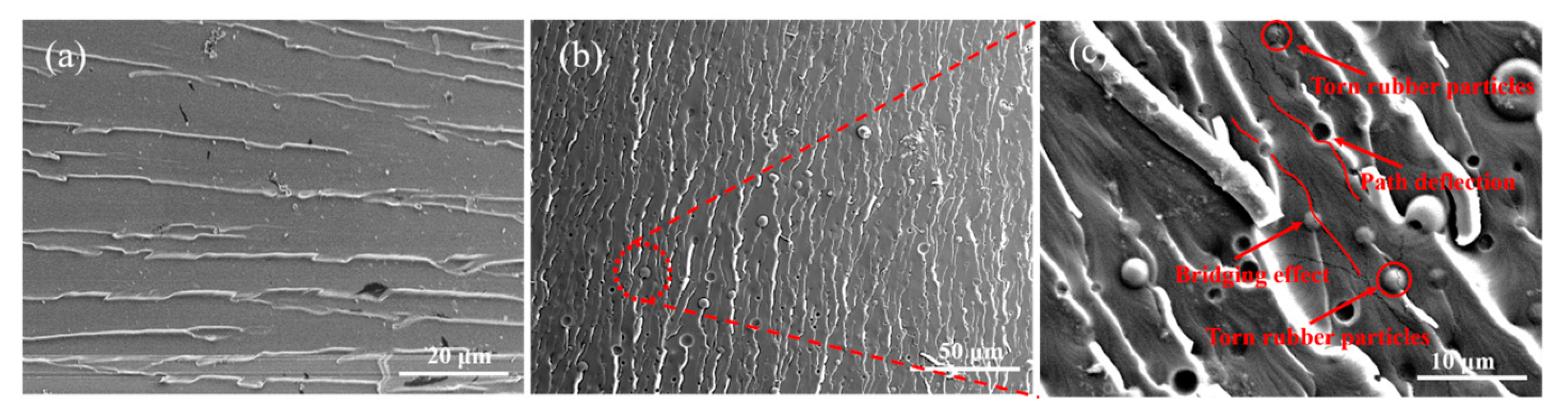 Polymers 16 02775 g008