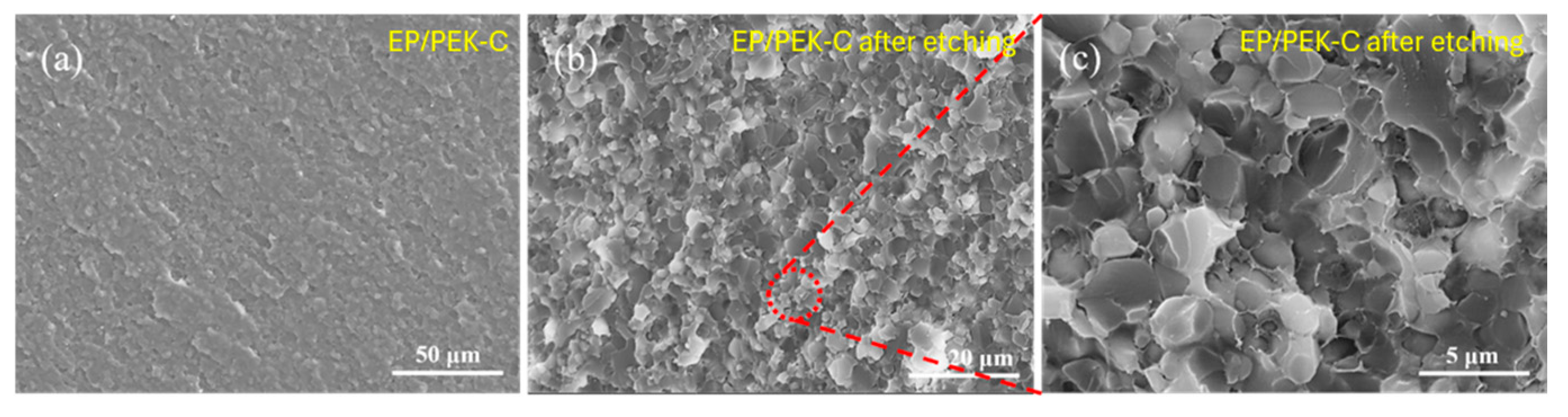 Polymers 16 02775 g009