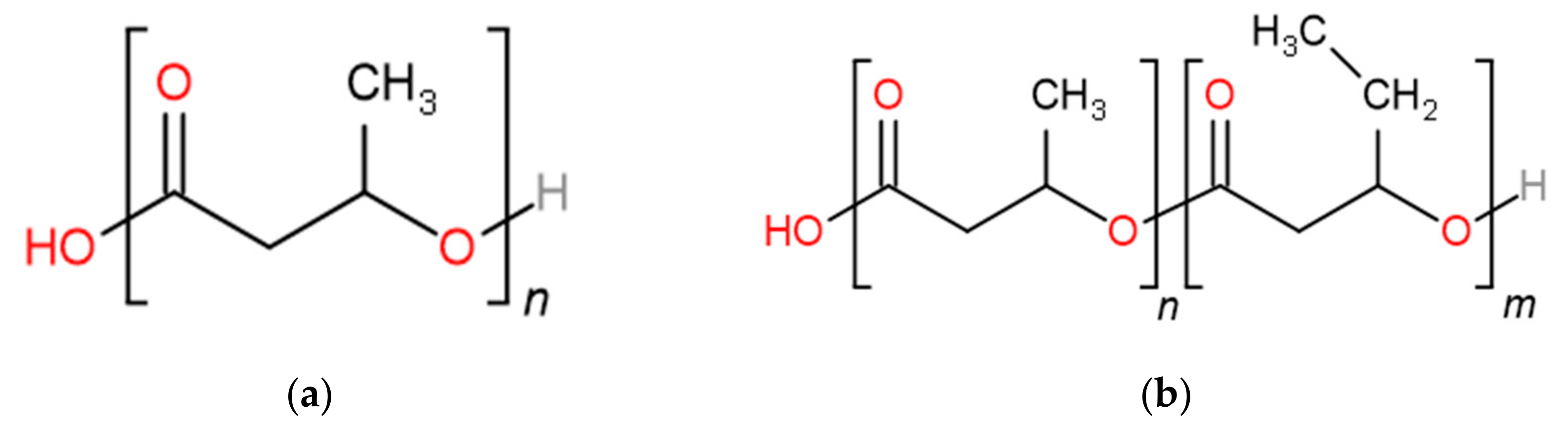 Polymers 16 02776 g001