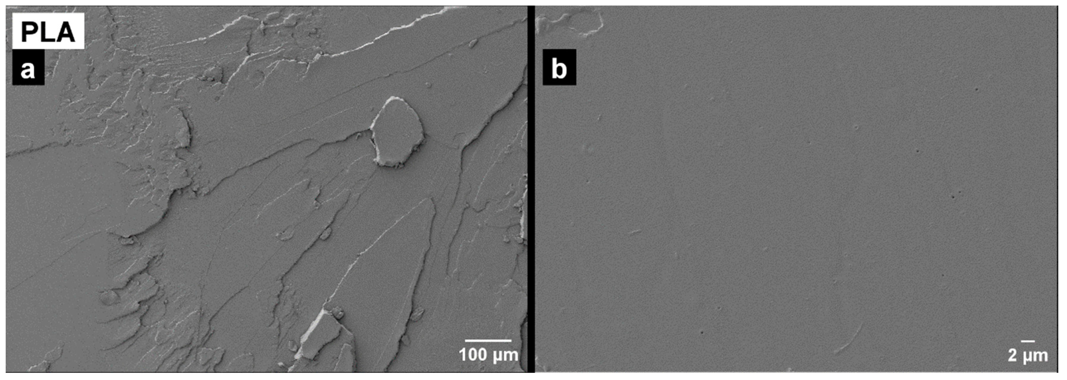 Polymers 16 02778 g006