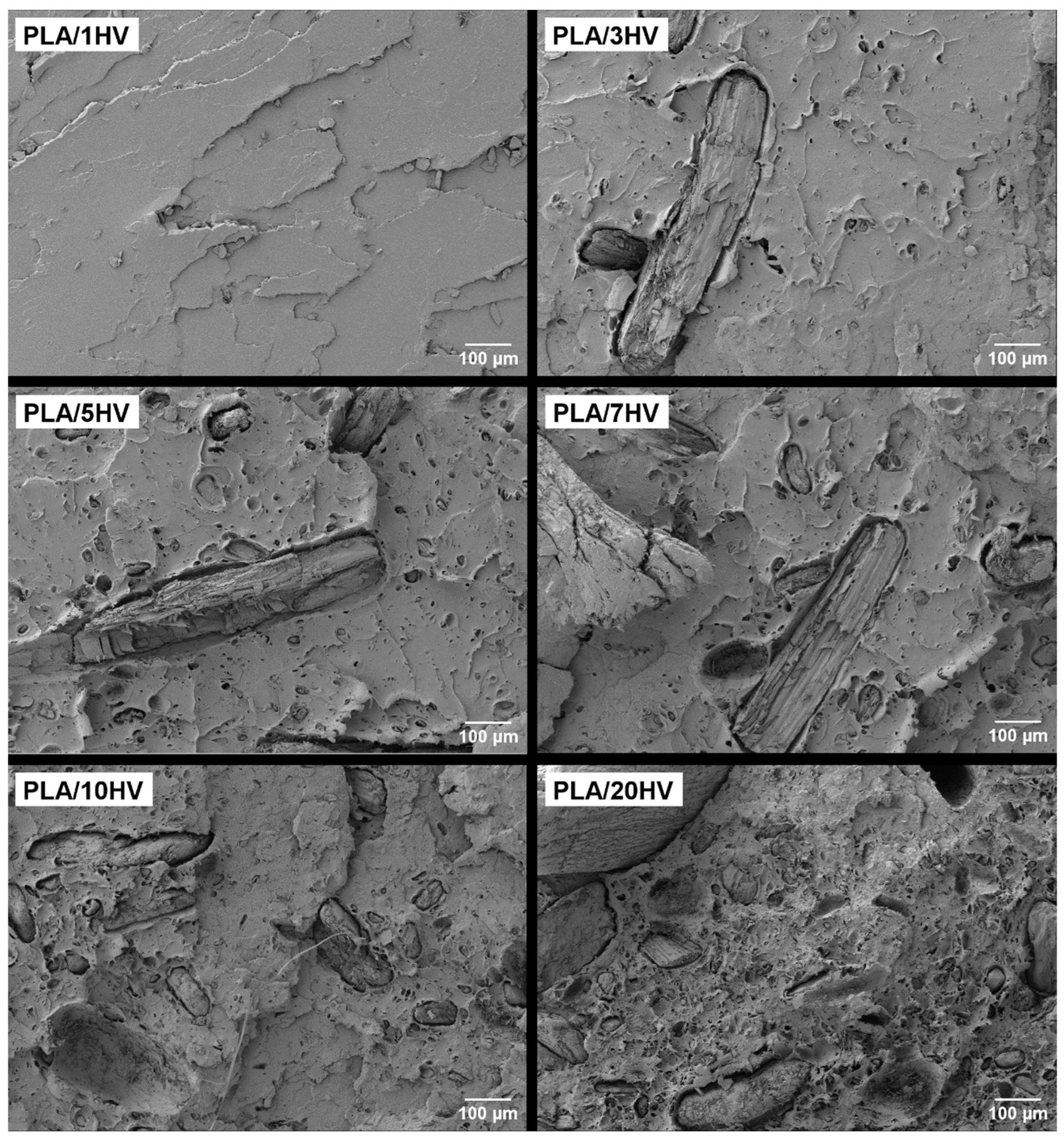 Polymers 16 02778 g007