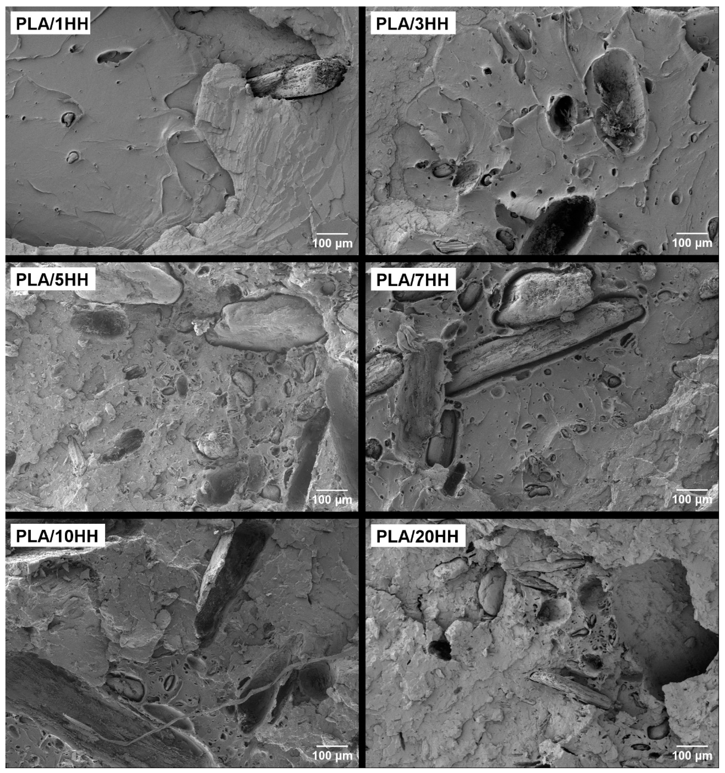 Polymers 16 02778 g008