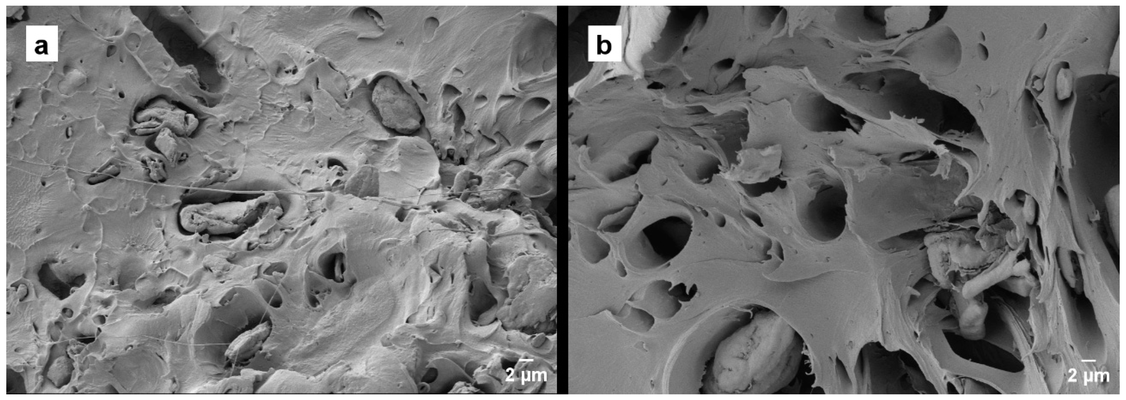 Polymers 16 02778 g009