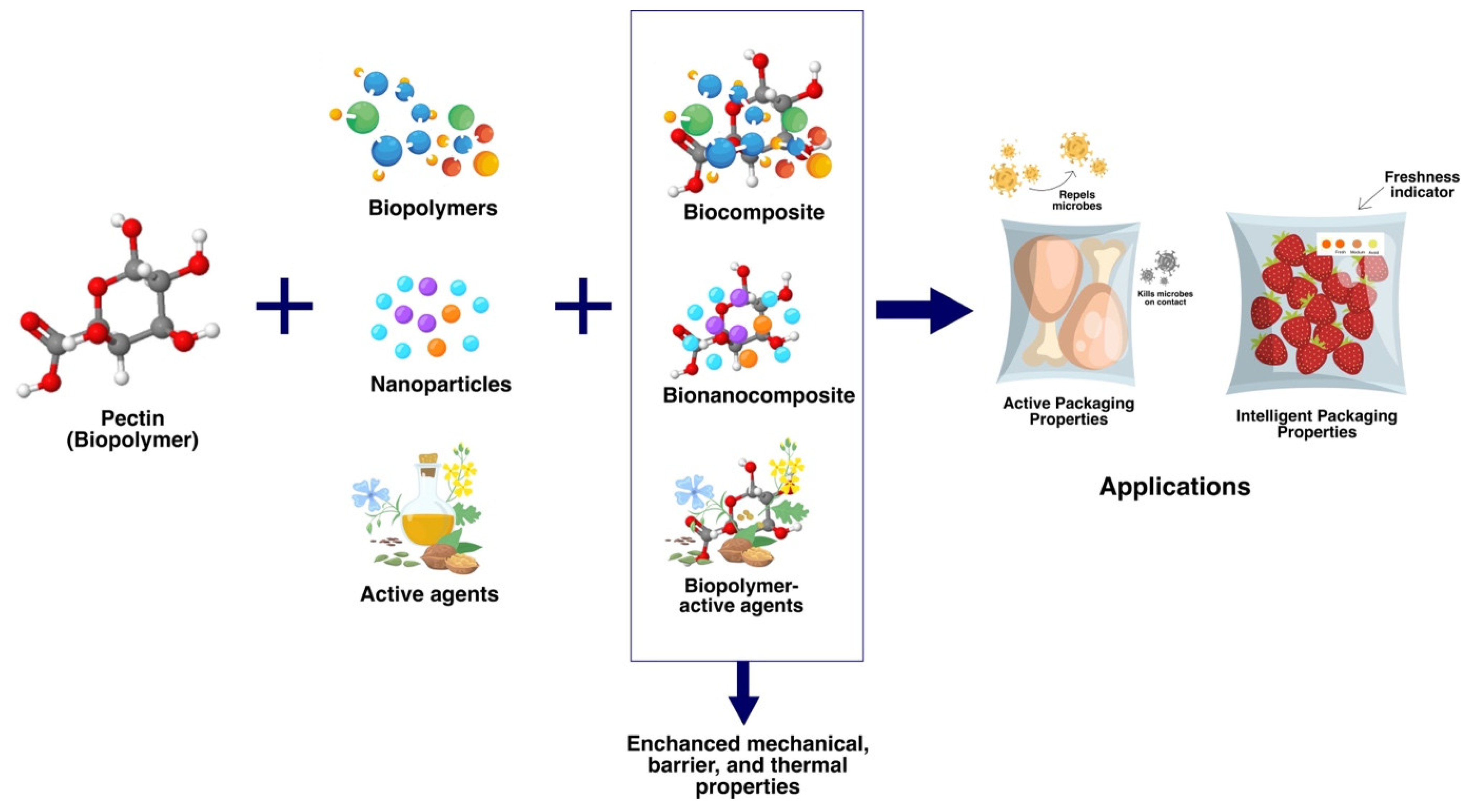 Polymers 16 02783 g001