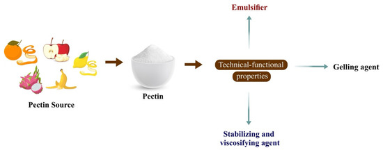 Exploring the Potential of Pectin as a Source of Biopolymers for Active ...