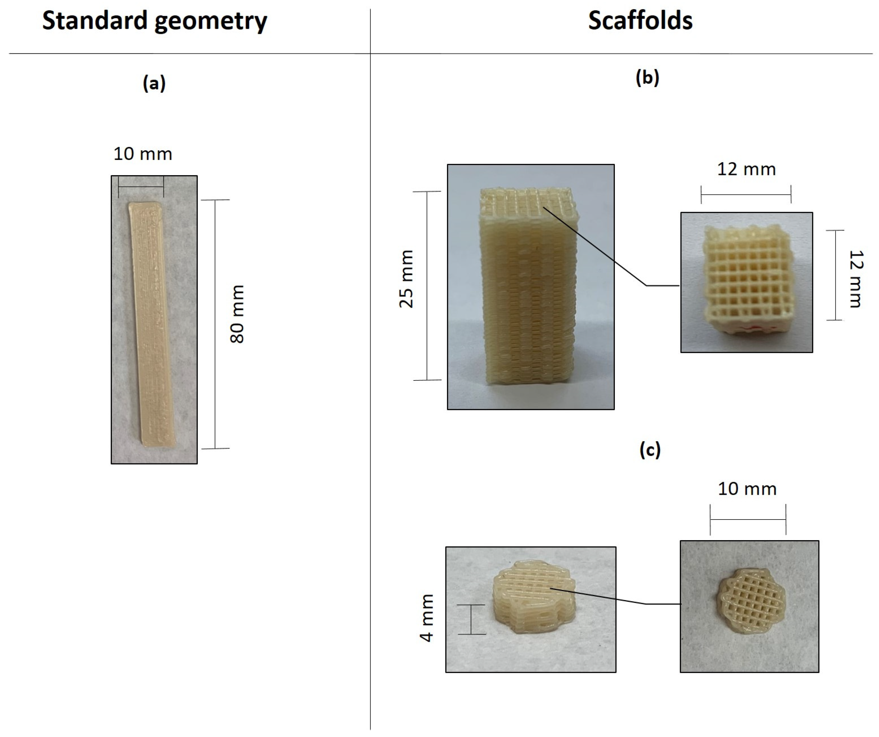 Polymers 16 02784 g002