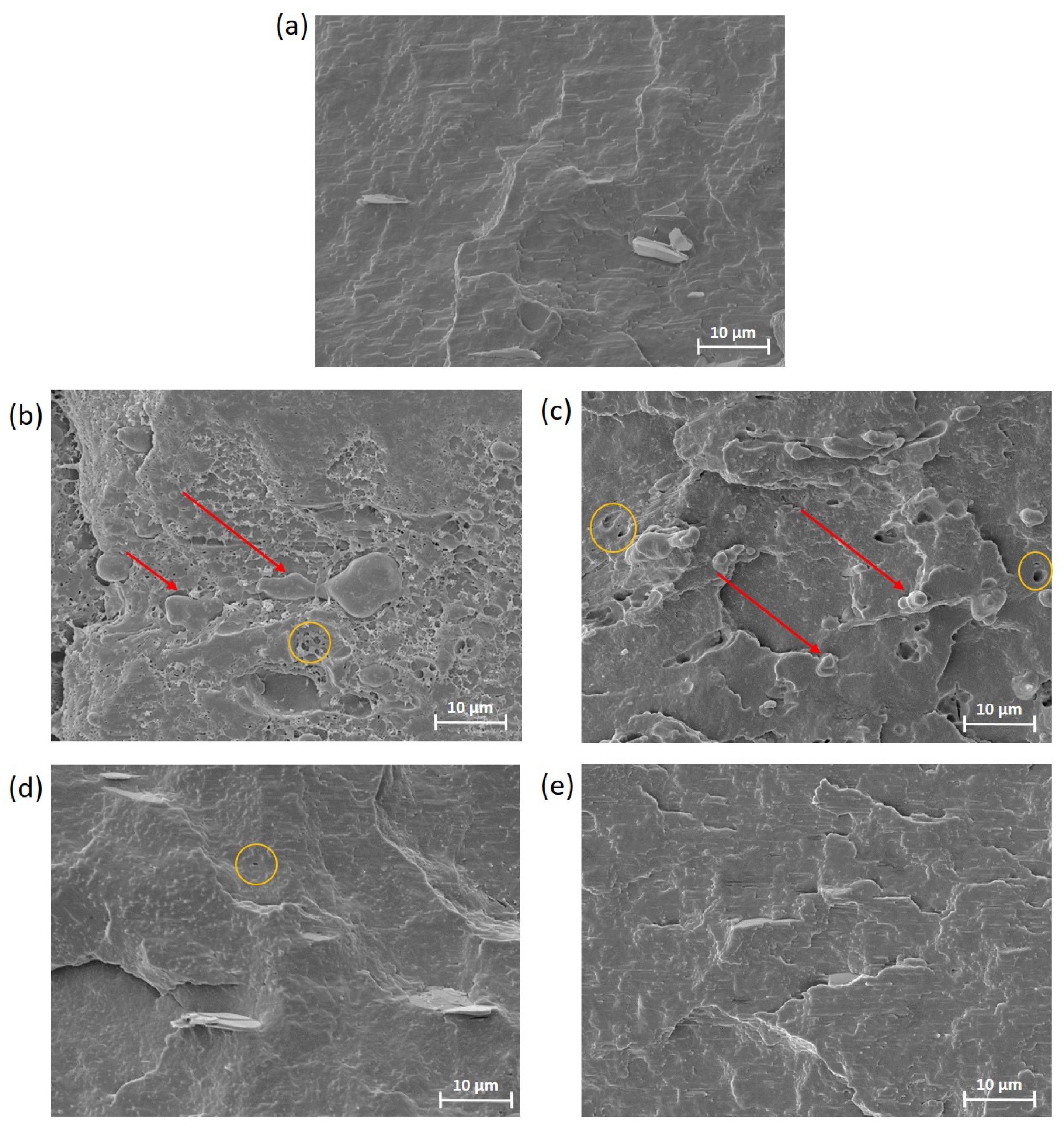 Polymers 16 02784 g004