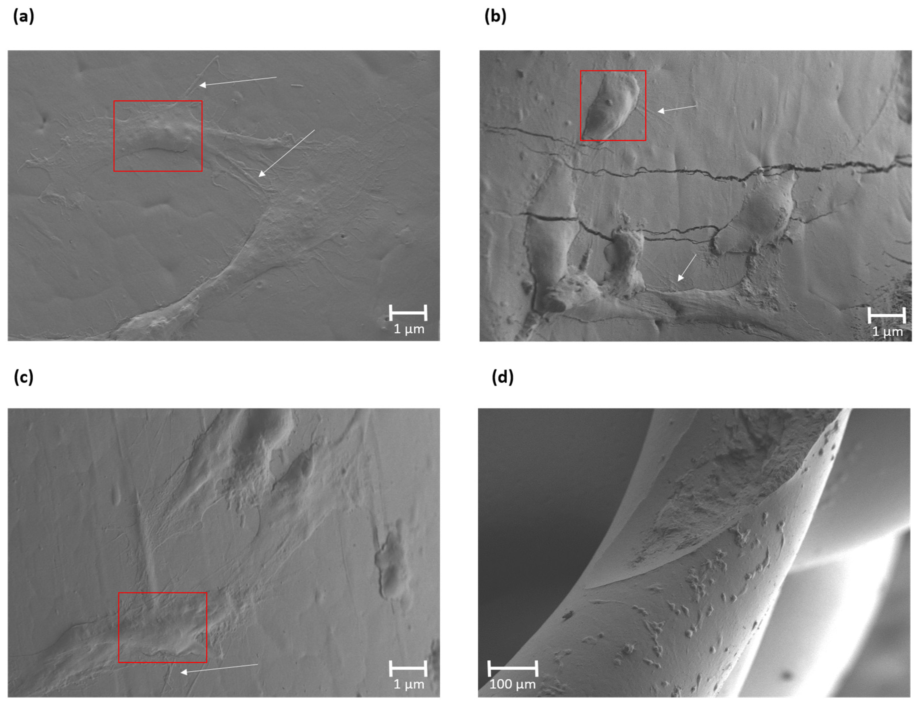 Polymers 16 02784 g011