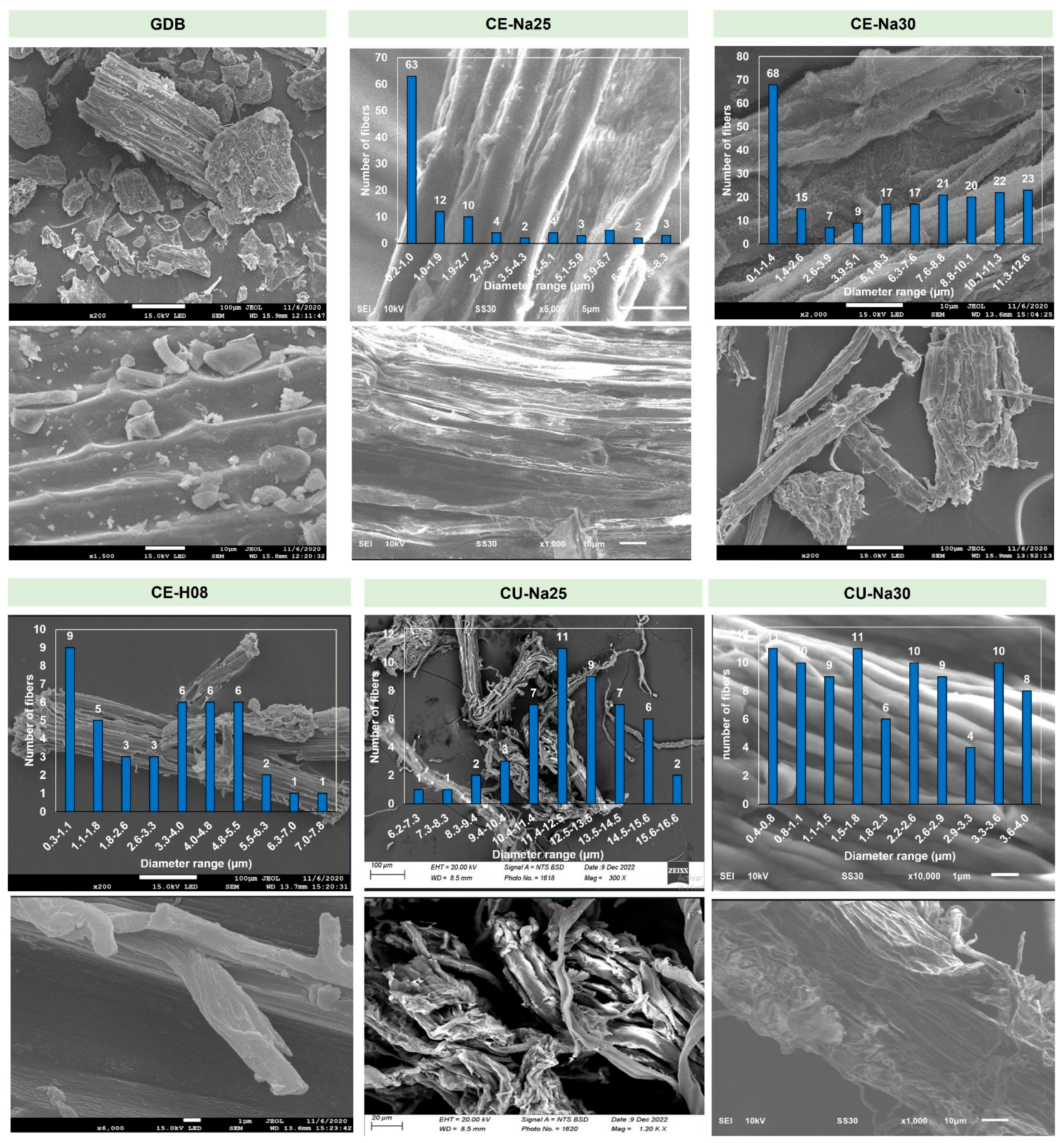 Polymers 16 02785 g002a
