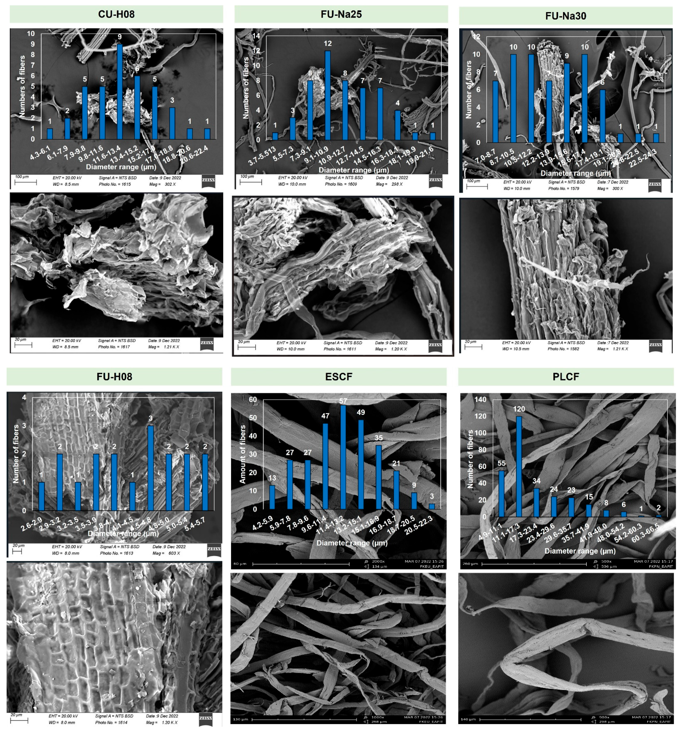 Polymers 16 02785 g002b