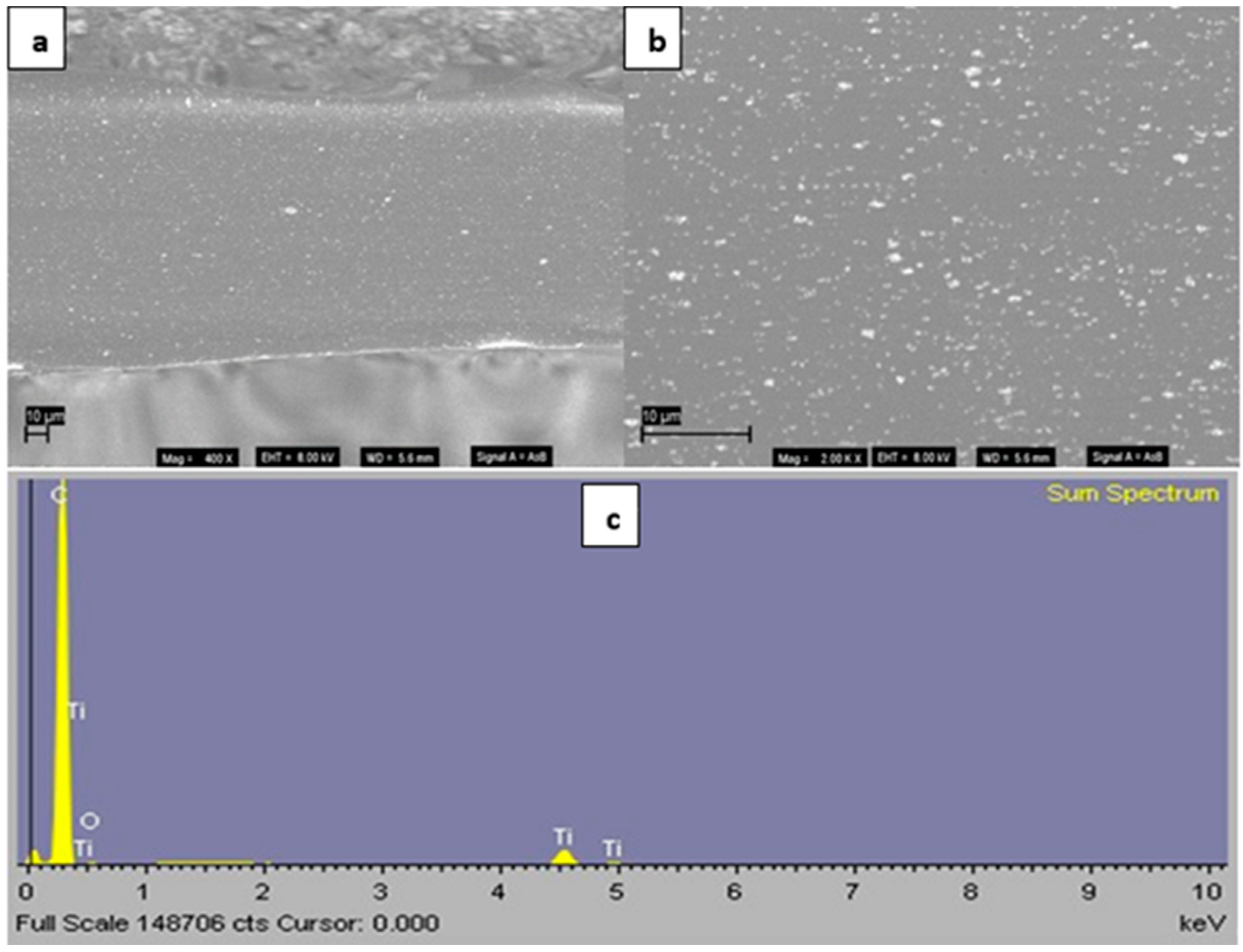 Polymers 16 02788 g001
