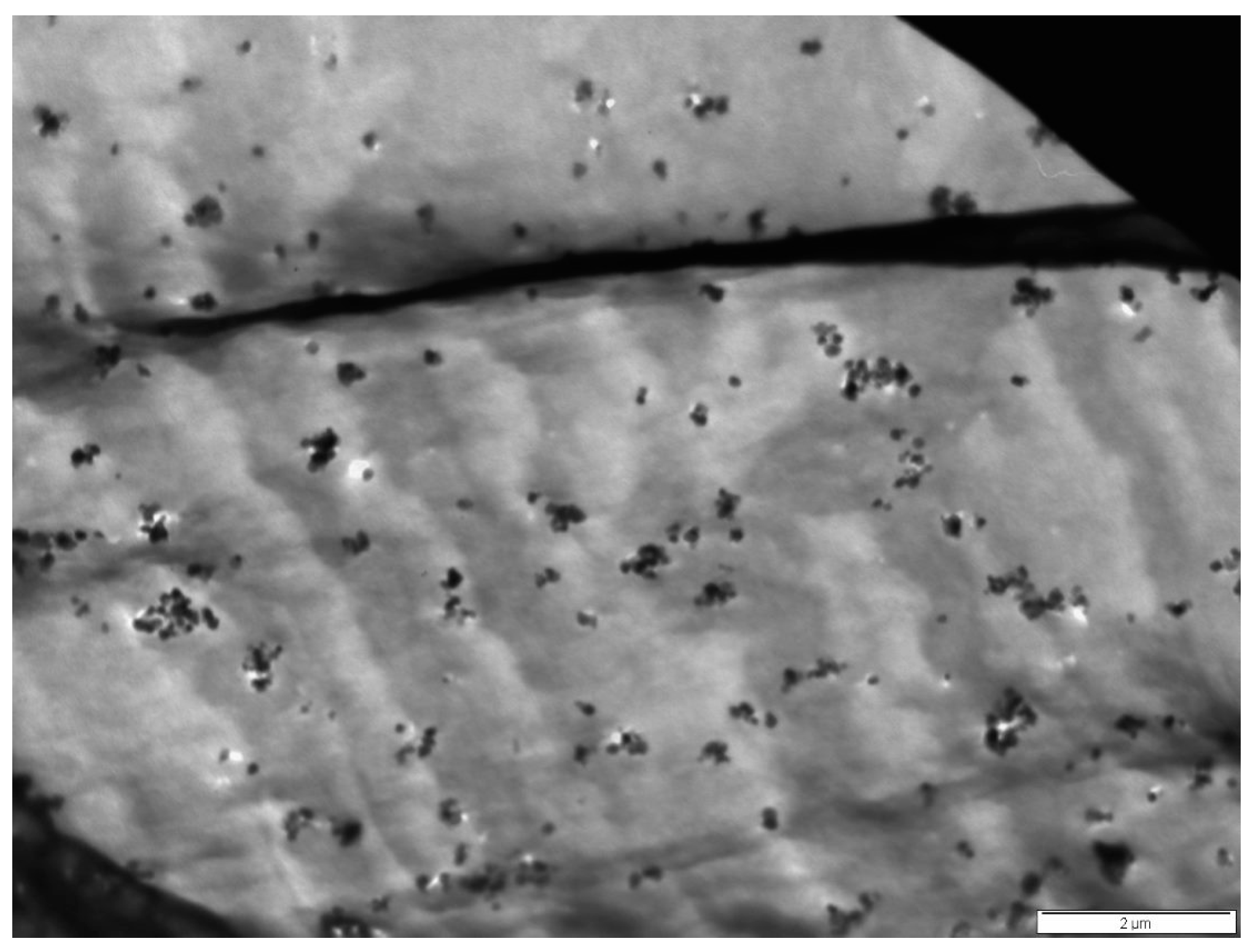 Polymers 16 02788 g002