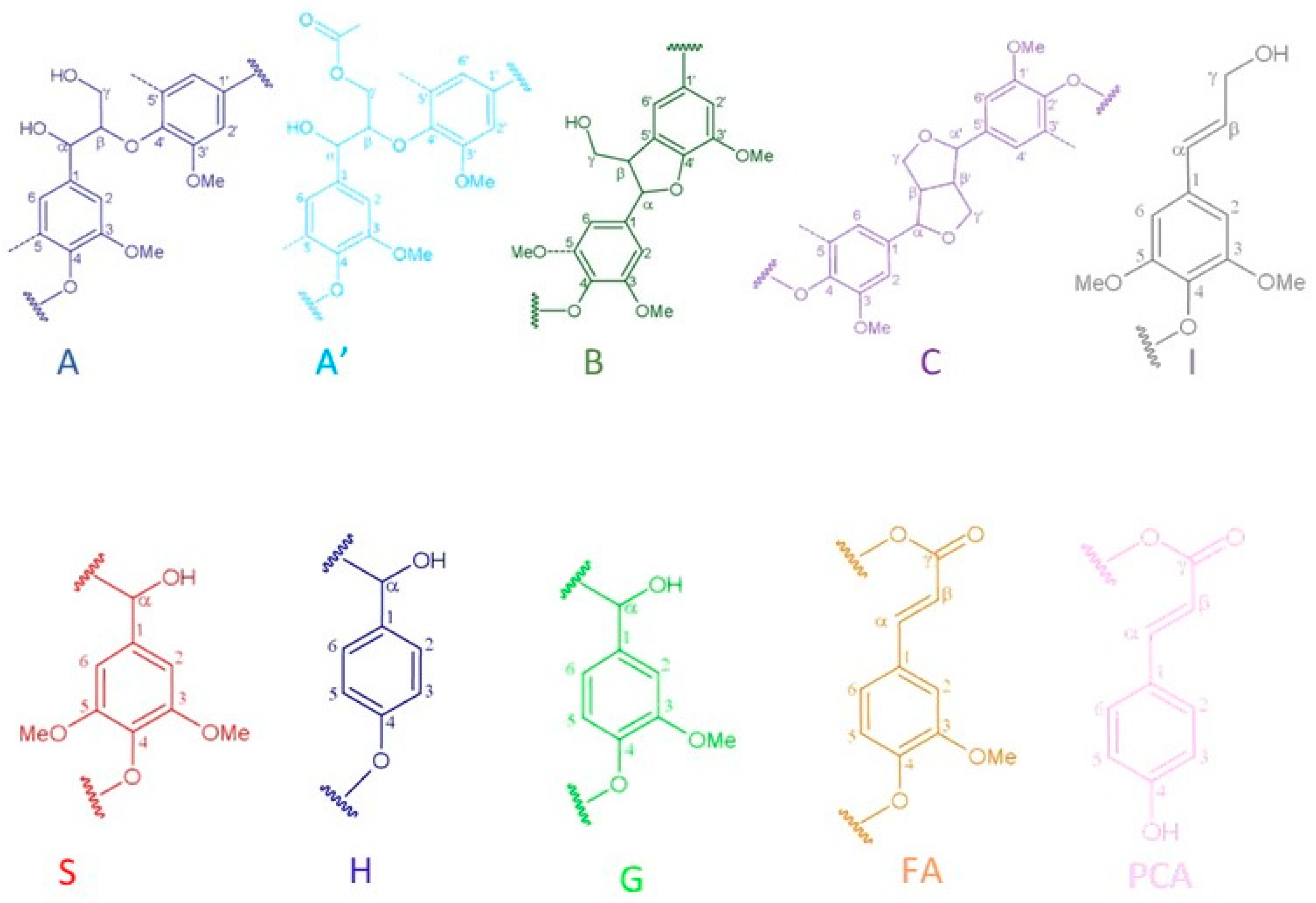 Polymers 16 02791 g007