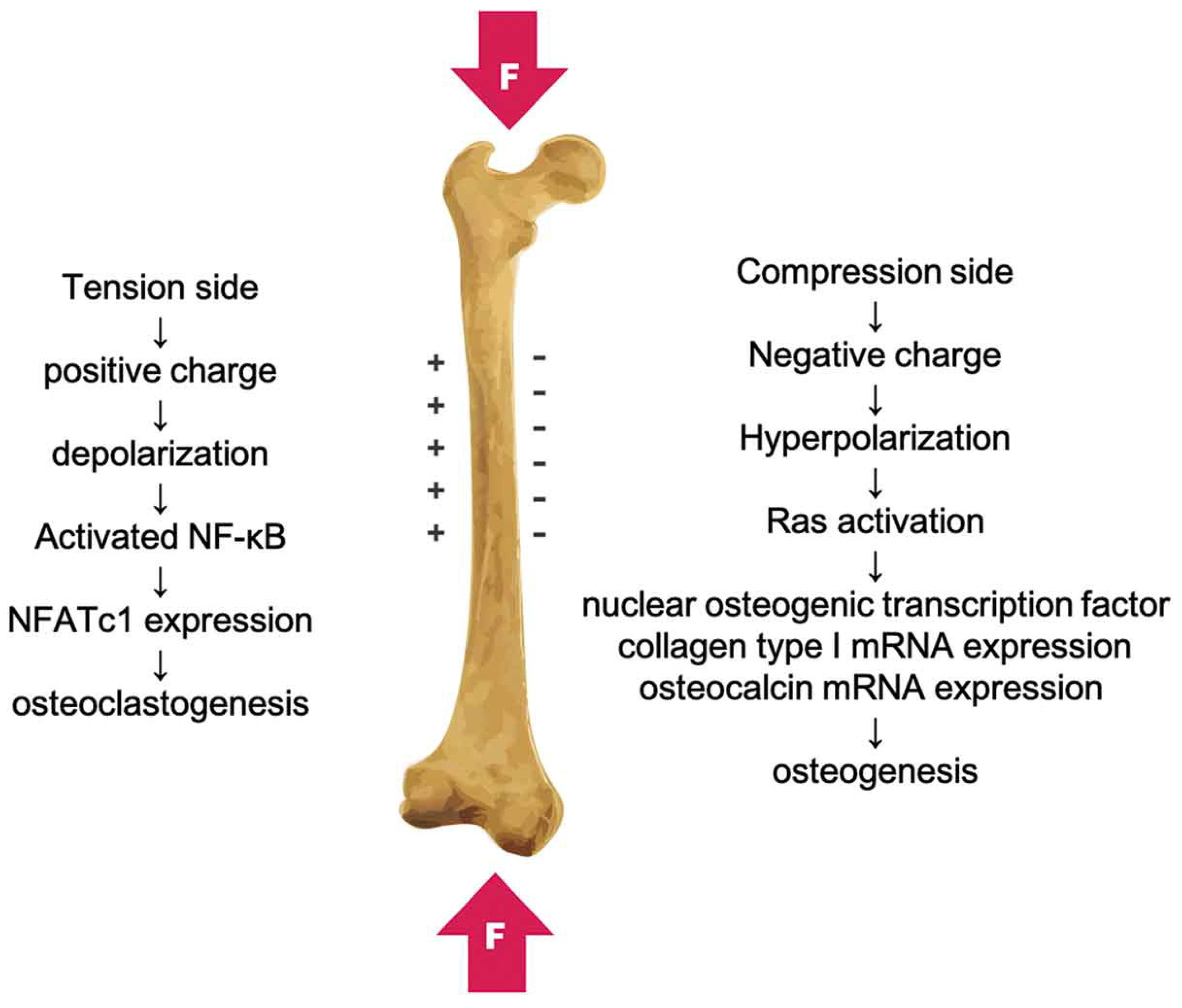 Polymers 16 02797 g001 Polymers 16 02797 g001