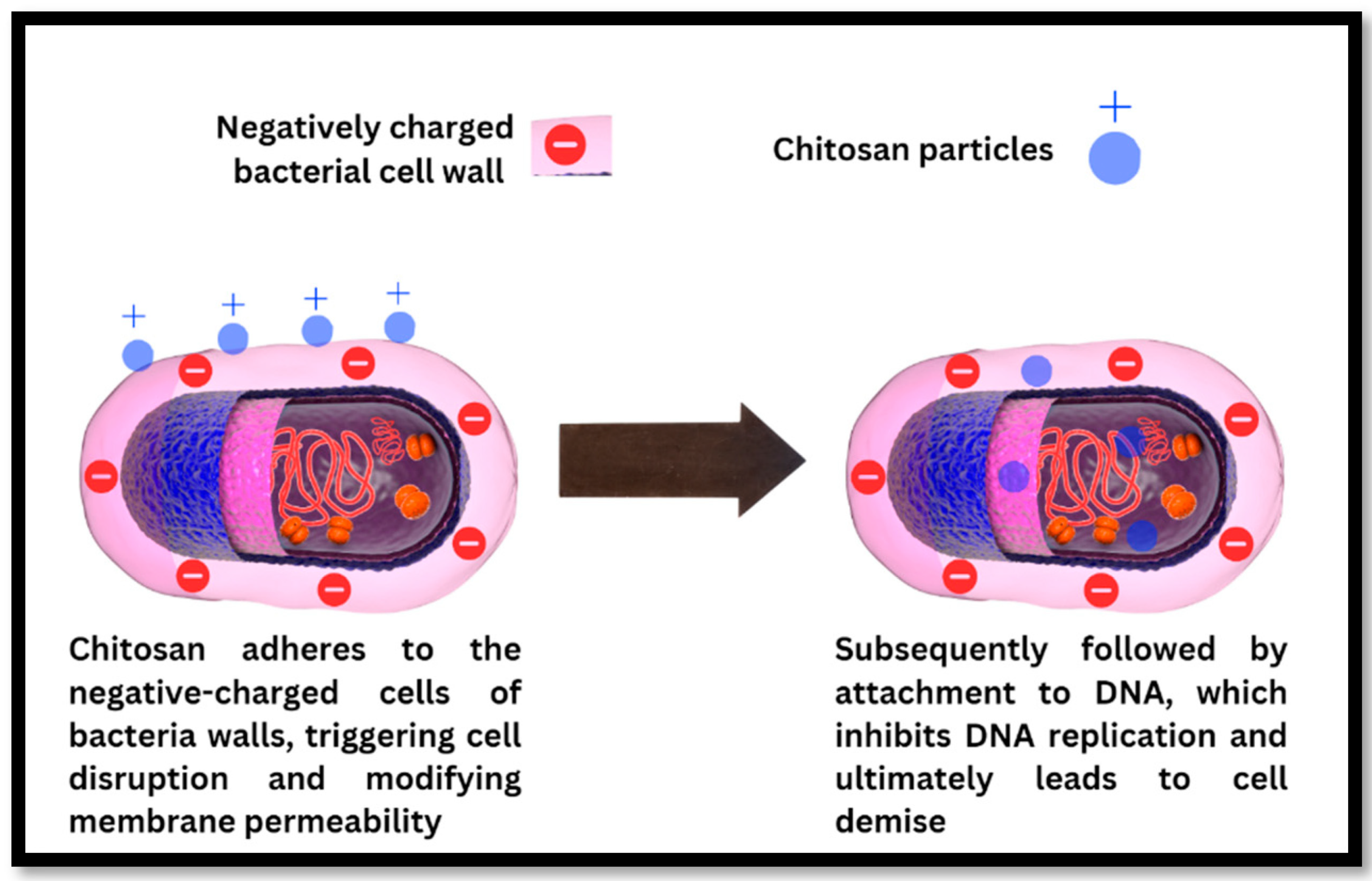 Polymers 16 02797 g005 Polymers 16 02797 g005