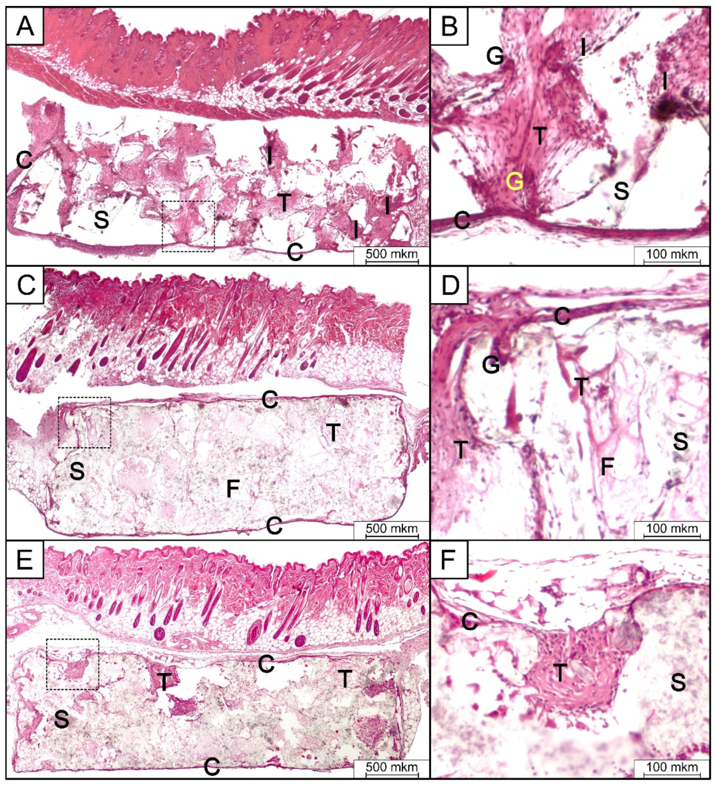 Polymers 16 02797 g009 Polymers 16 02797 g009