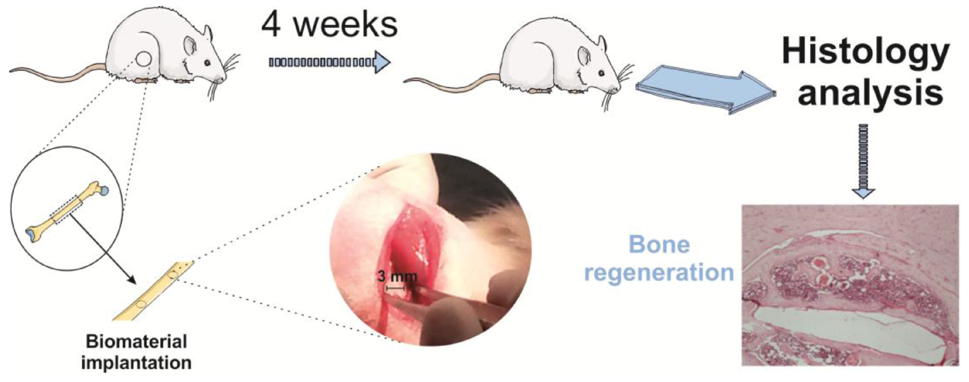 Polymers 16 02797 g010 Polymers 16 02797 g010