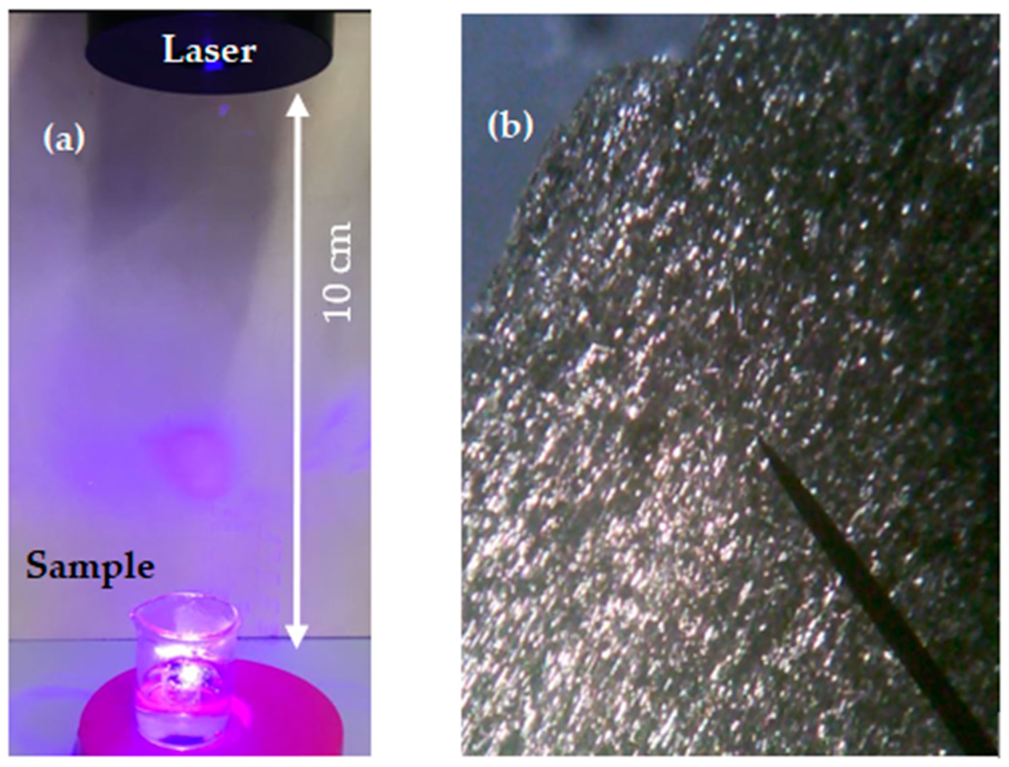 Polymers 16 02801 g001