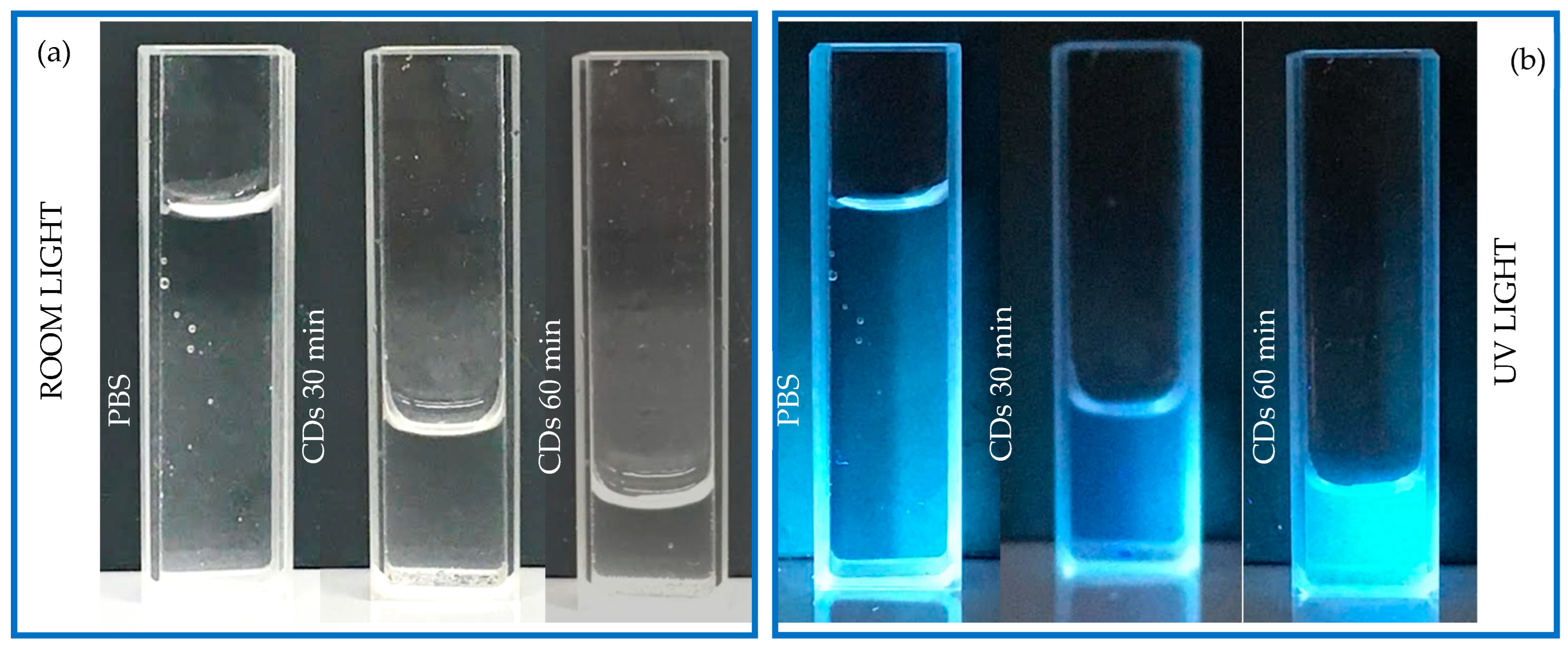 Polymers 16 02801 g003