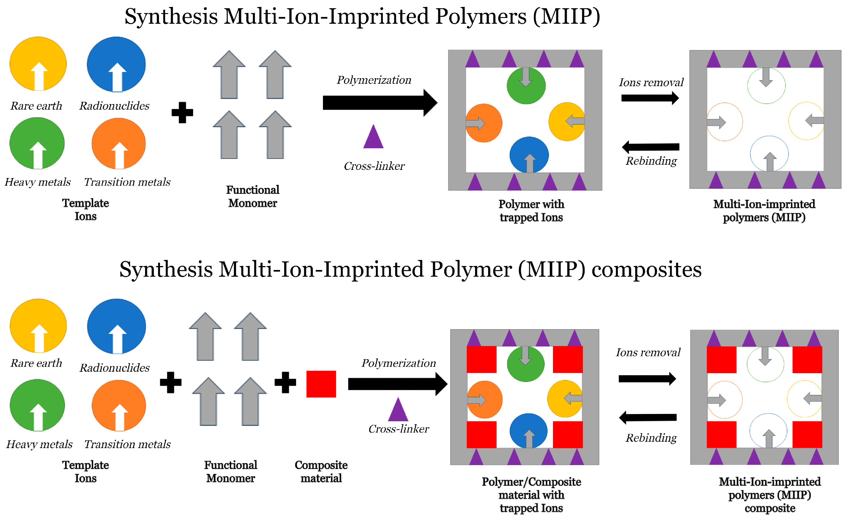 Polymers 16 02804 g001 Polymers 16 02804 g001