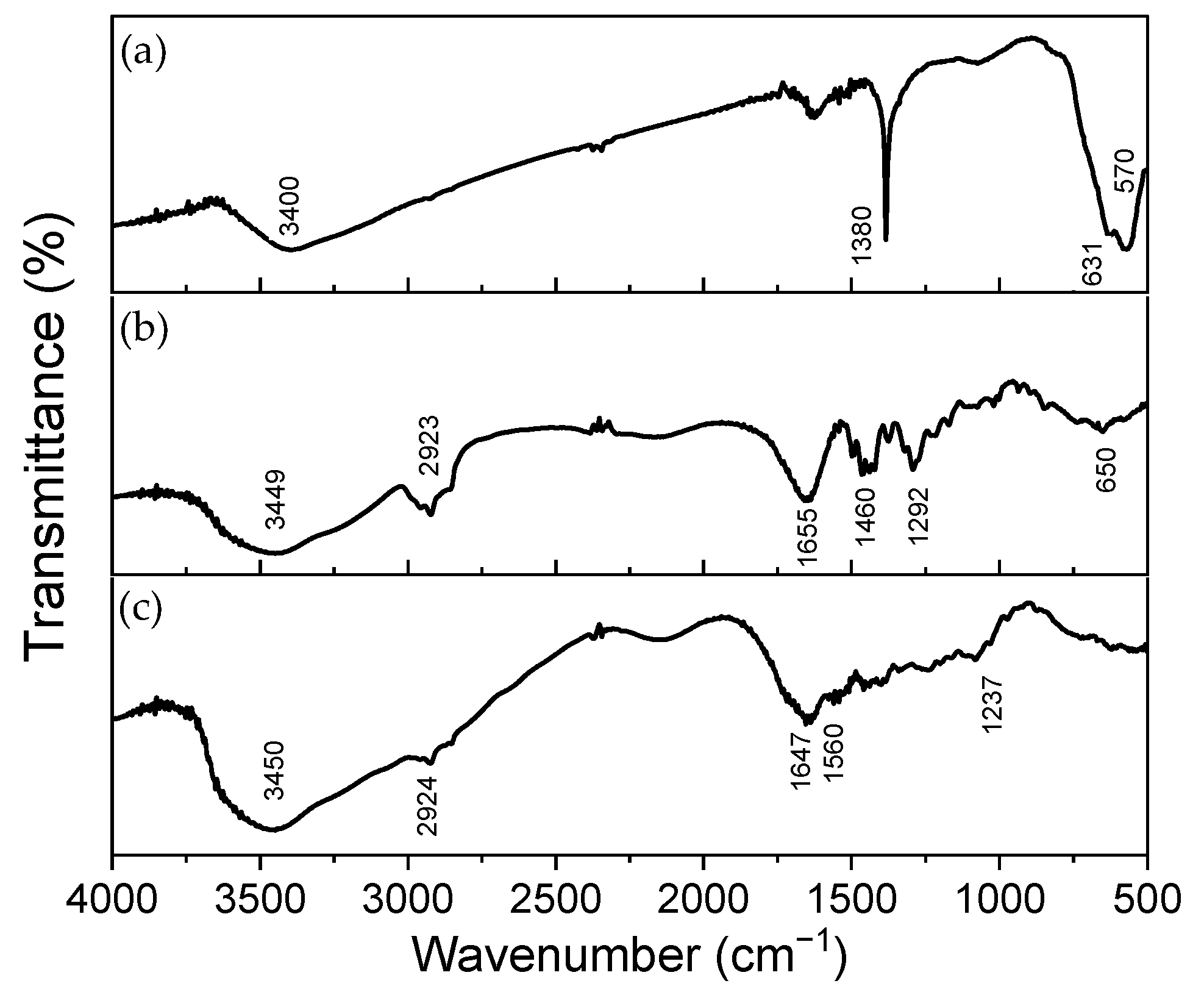 Polymers 16 02805 g002 Polymers 16 02805 g002