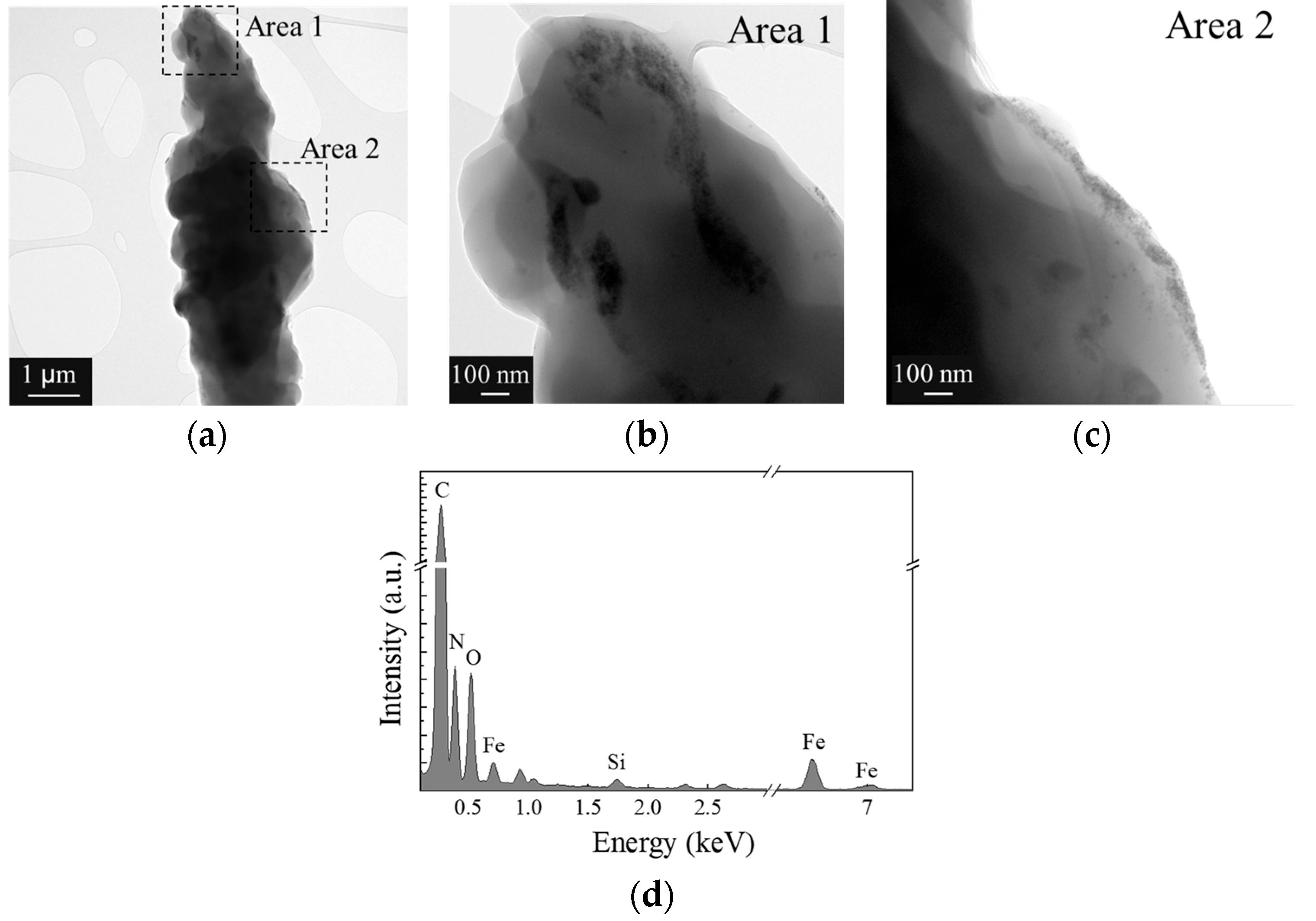 Polymers 16 02805 g008 Polymers 16 02805 g008