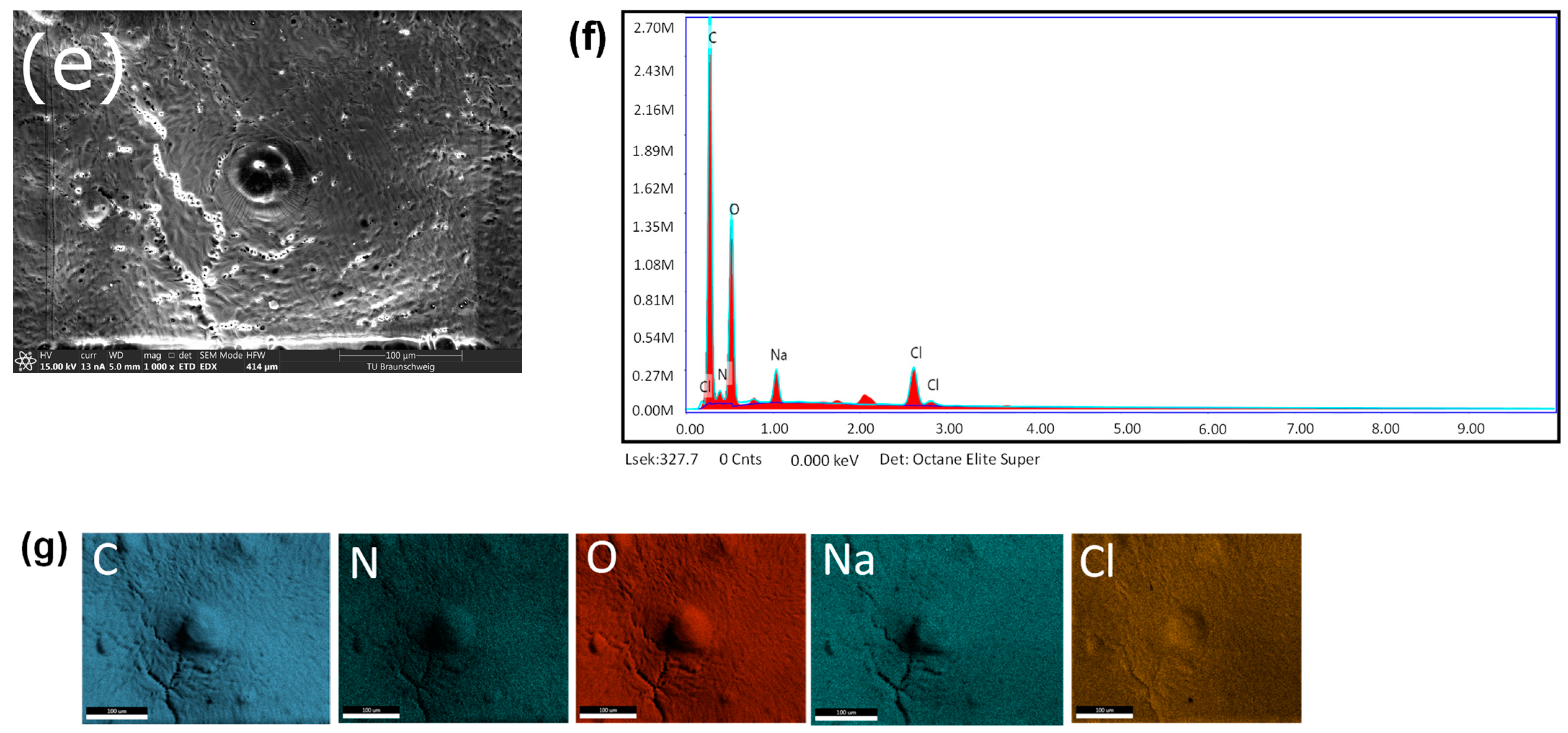 Polymers 16 02806 g001b