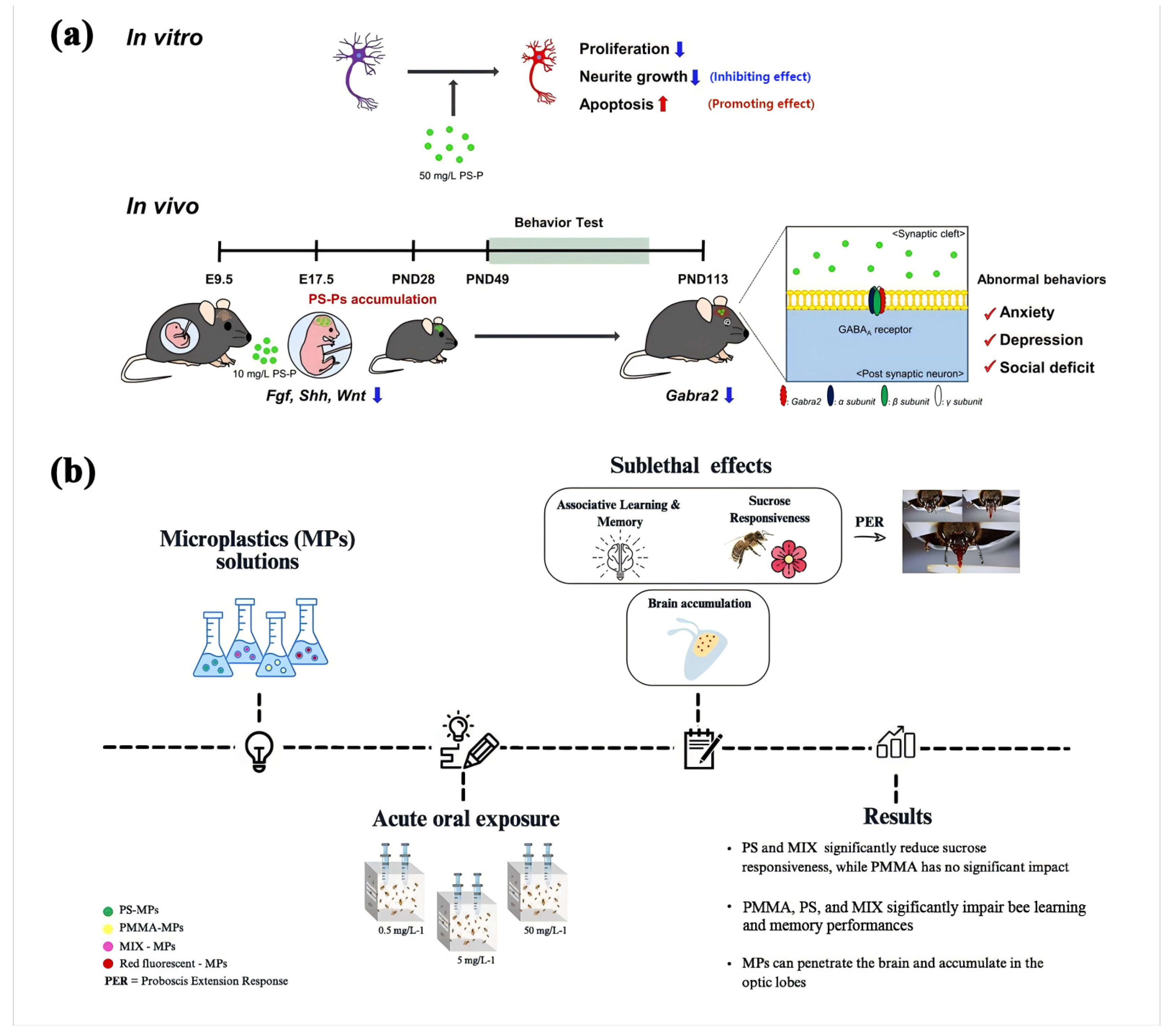 Polymers 16 02807 g007