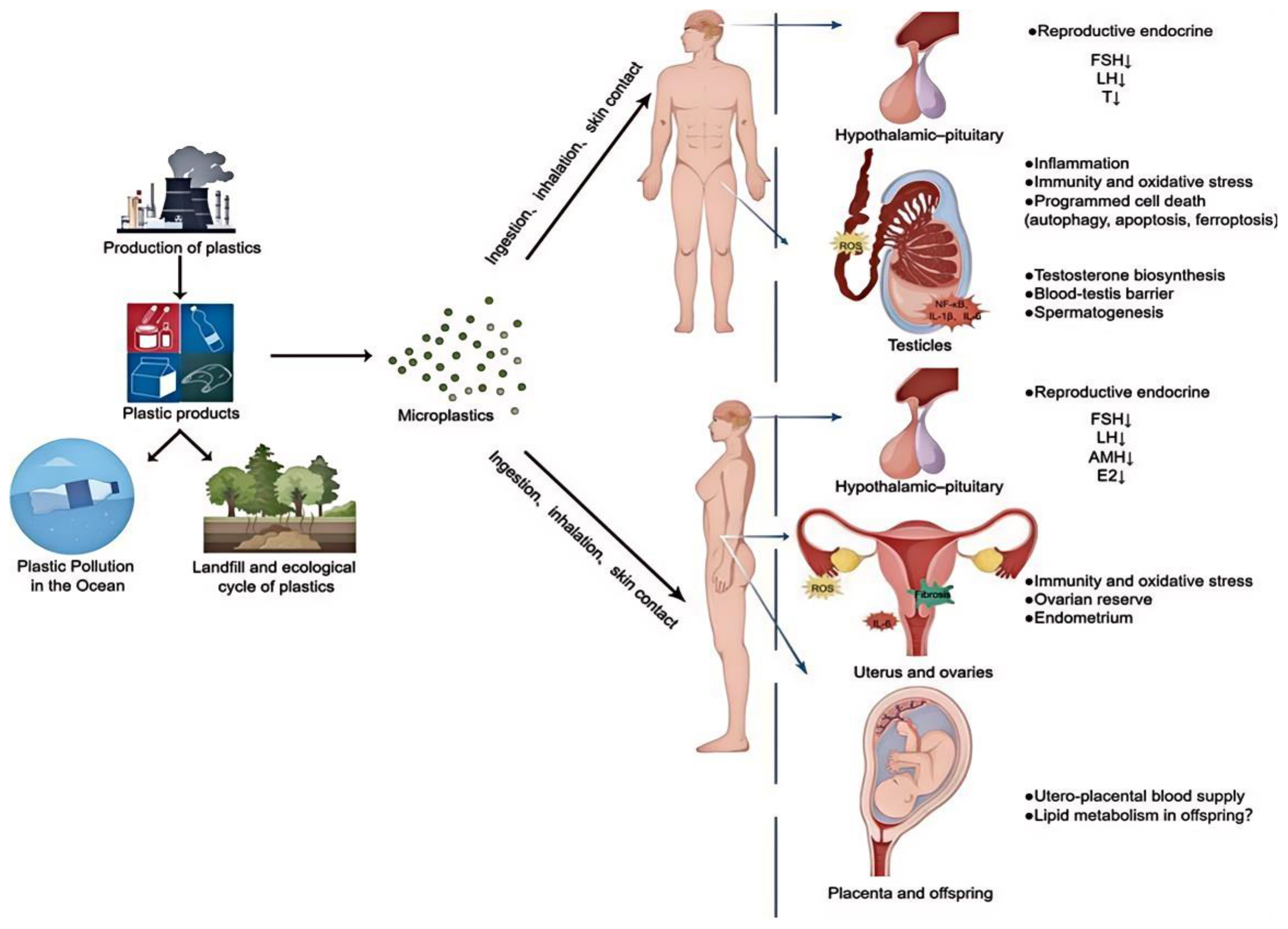 Polymers 16 02807 g008