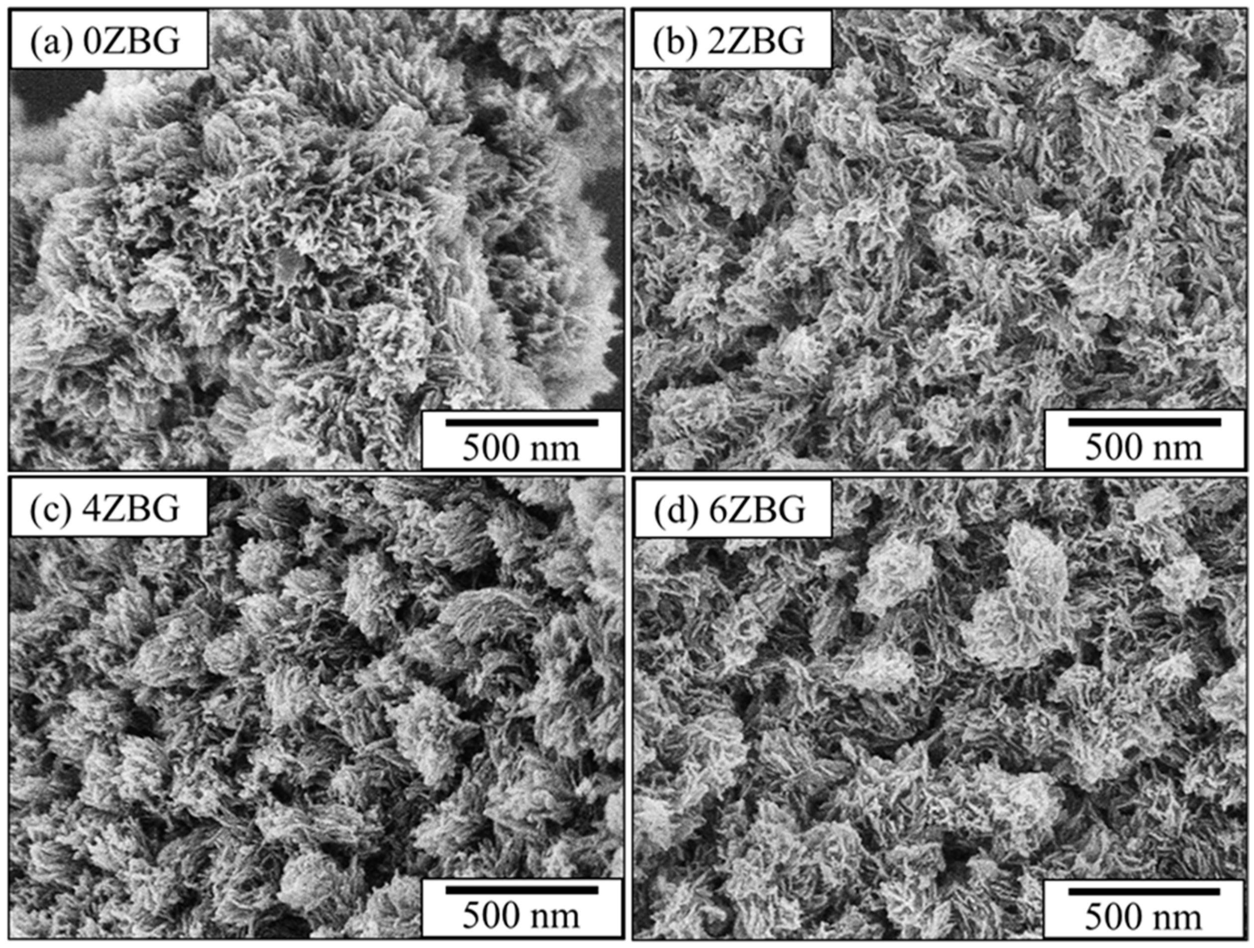 Polymers 16 02811 g004