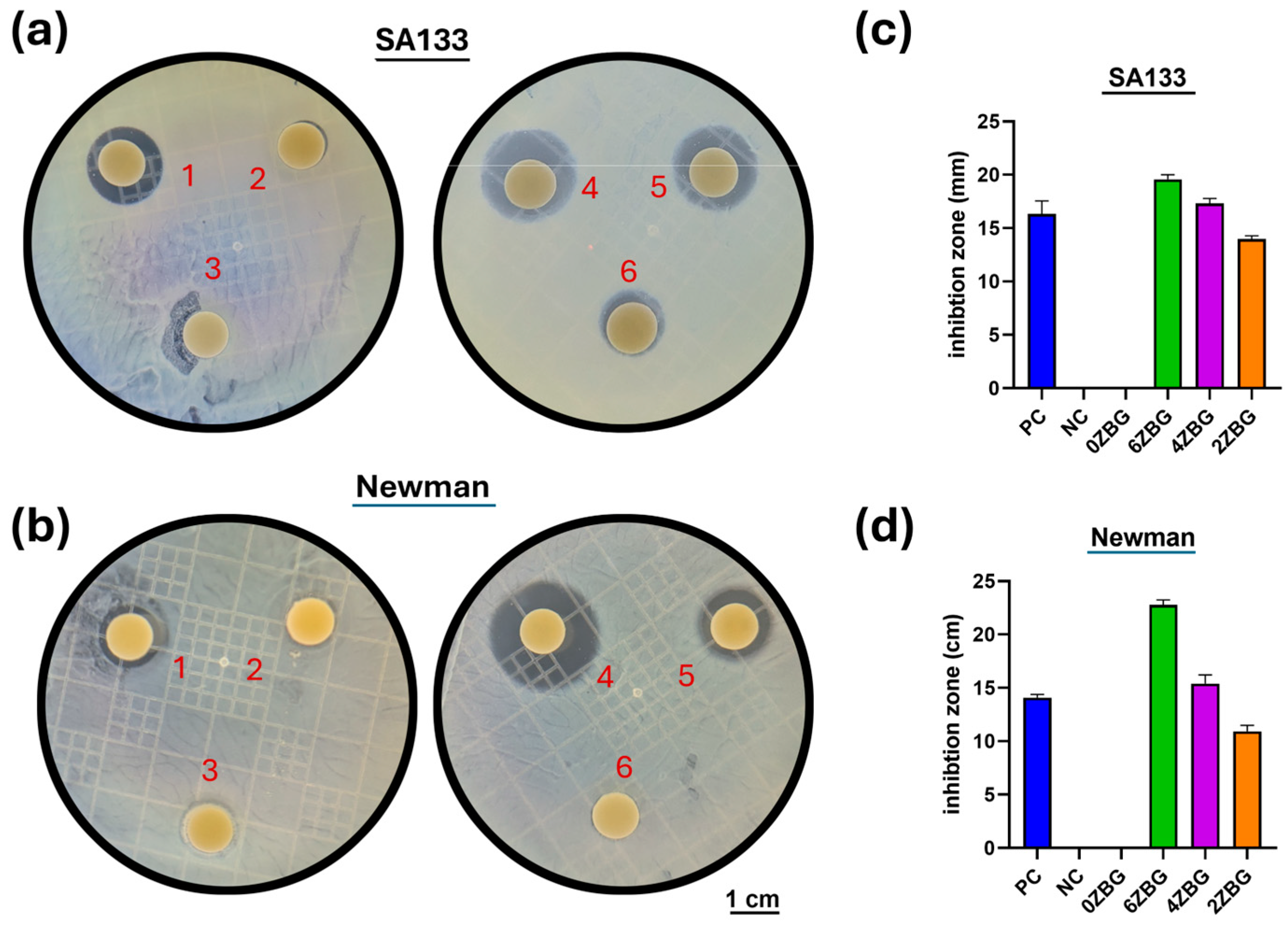 Polymers 16 02811 g013