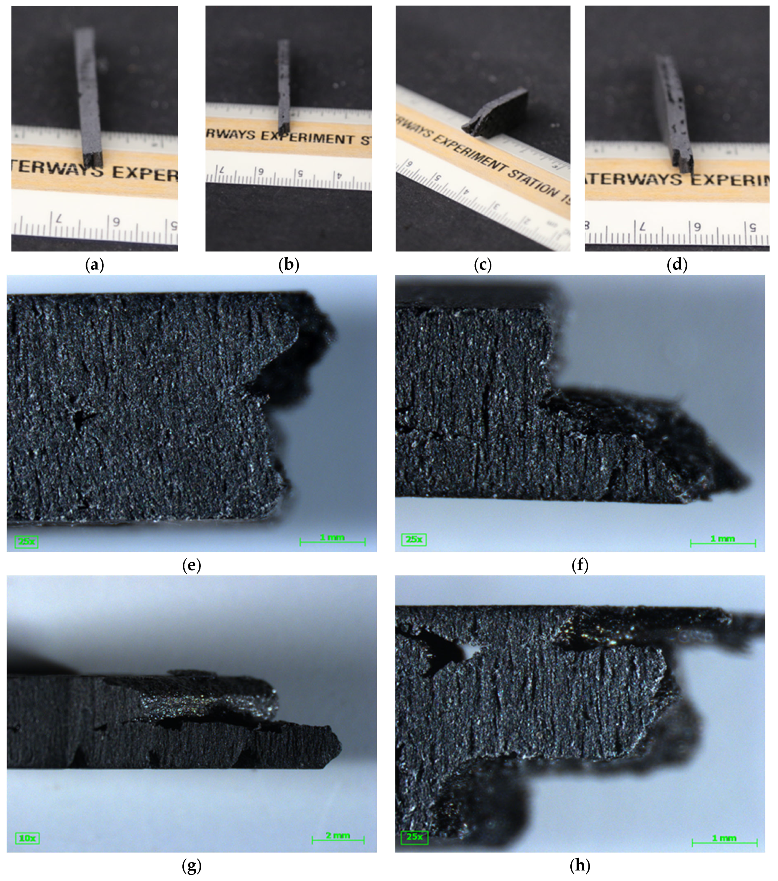 Polymers 16 02812 g014
