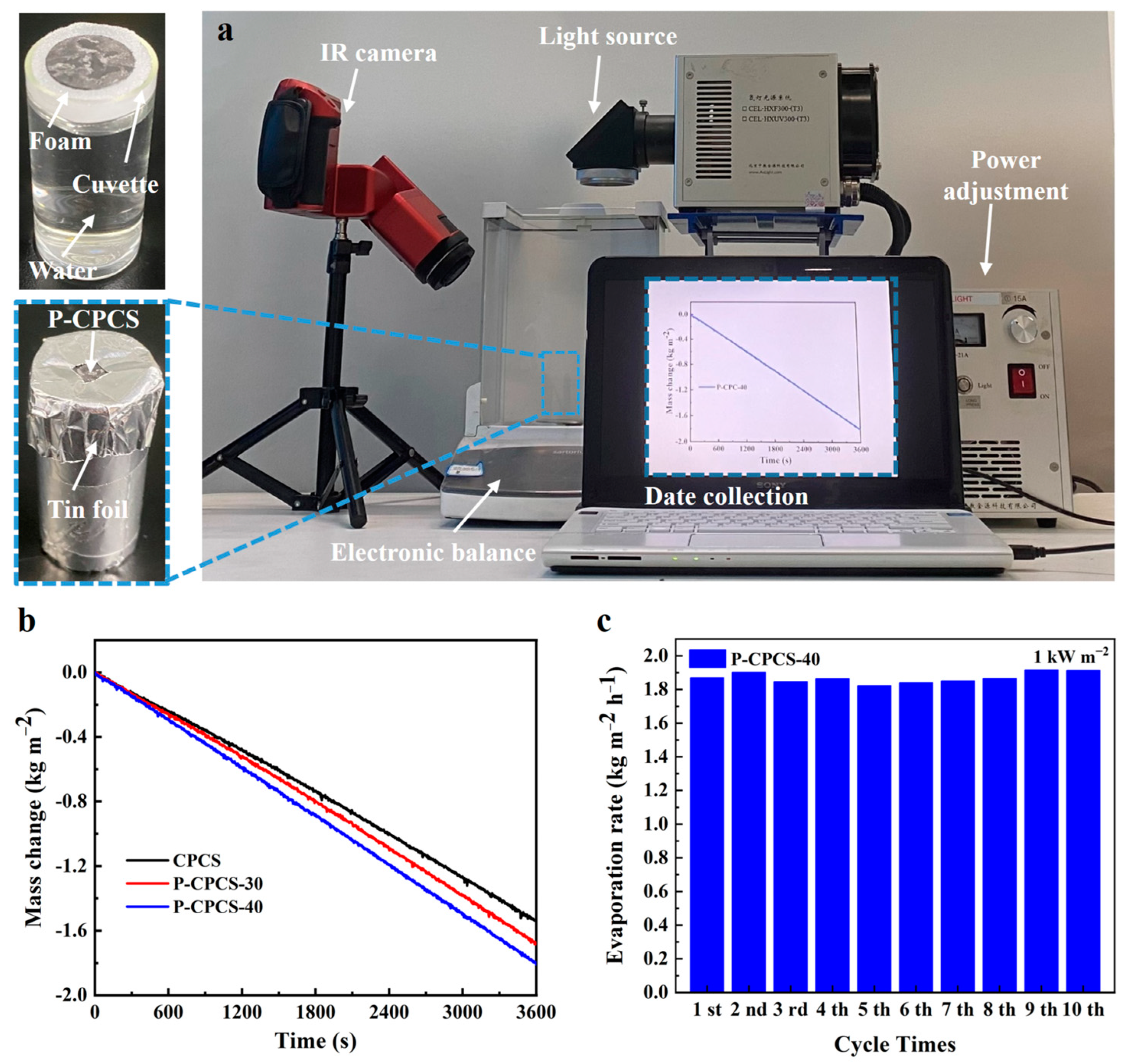Polymers 16 02813 g008