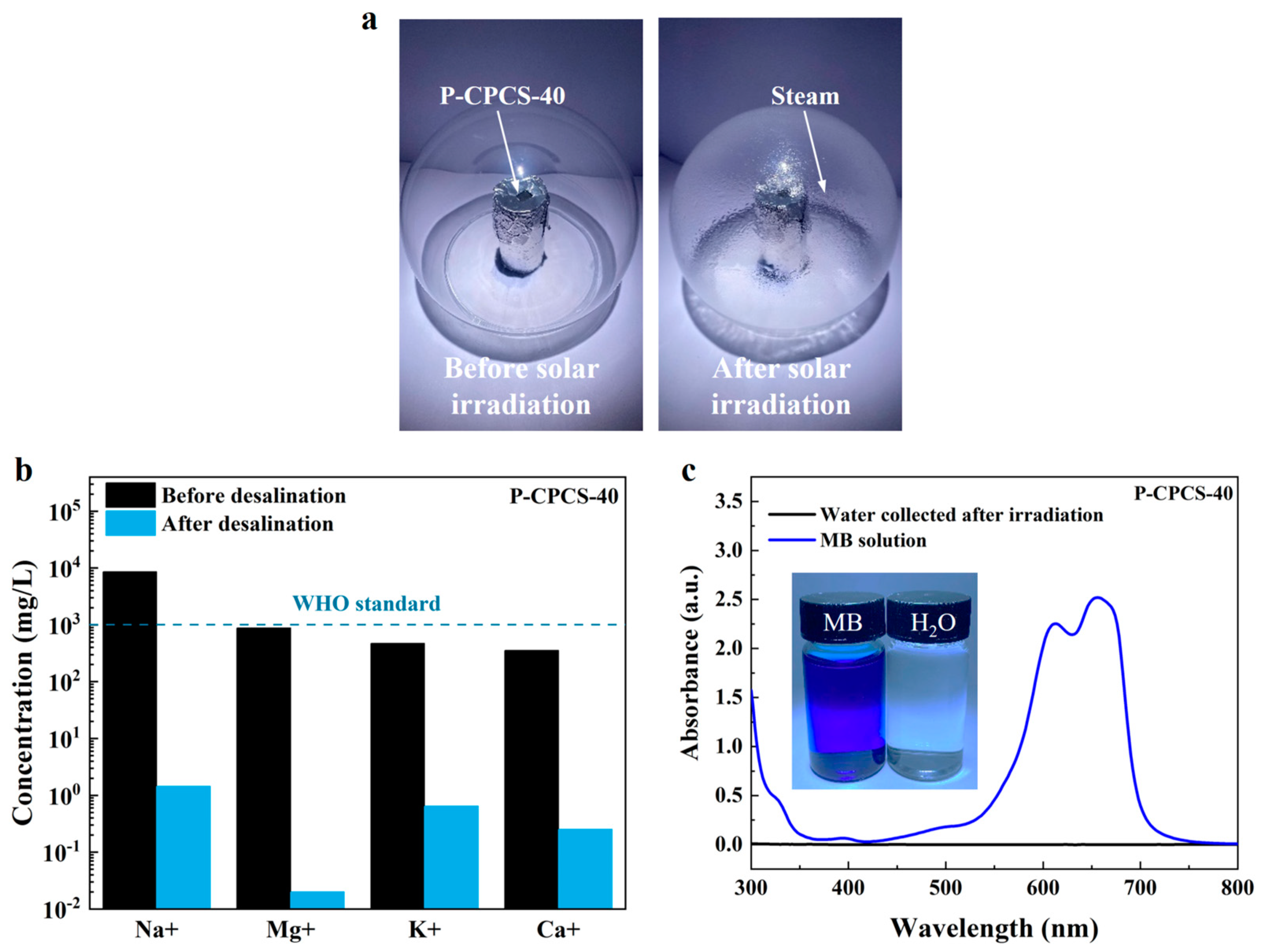 Polymers 16 02813 g010