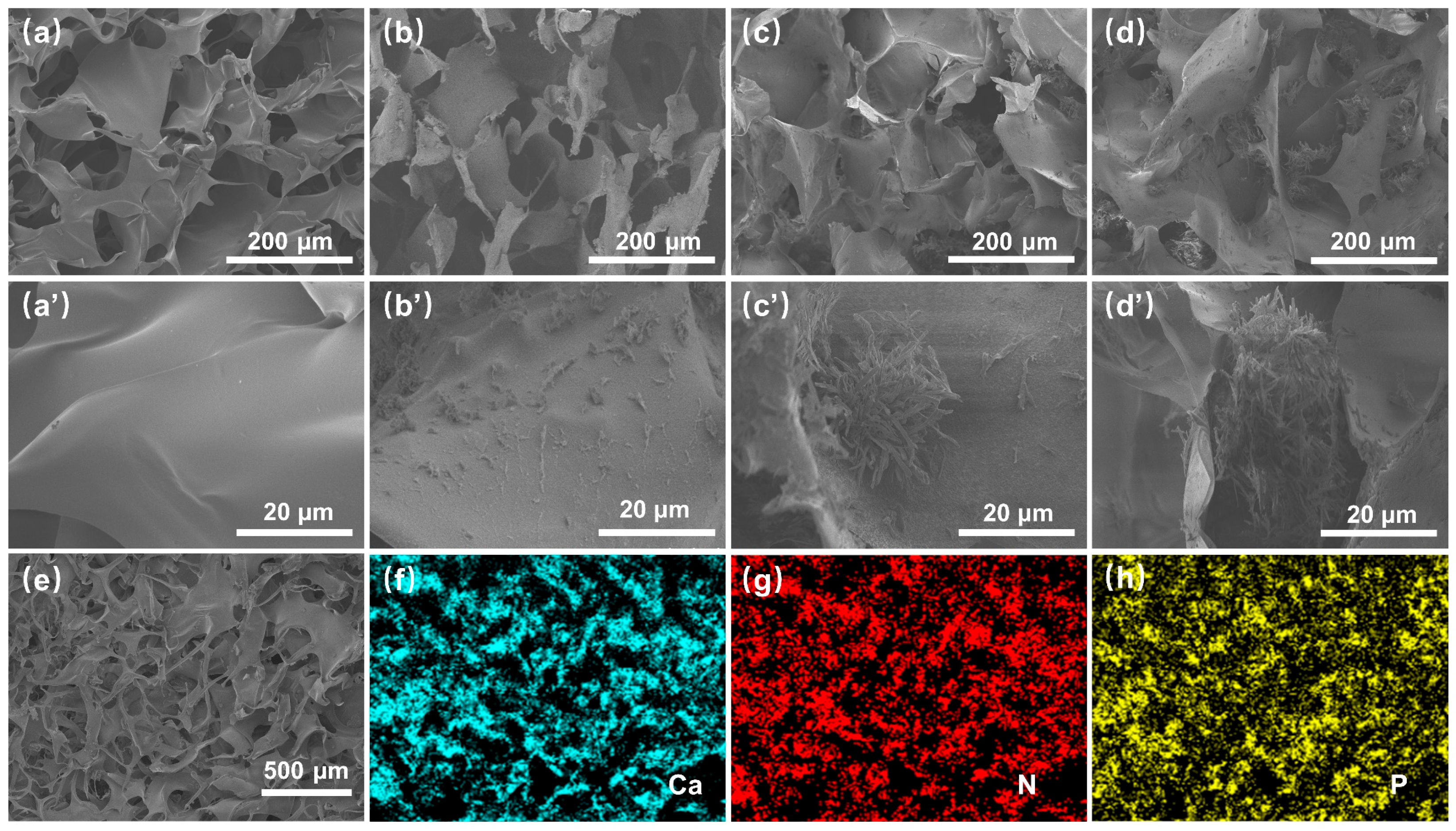 Polymers 16 02814 g003